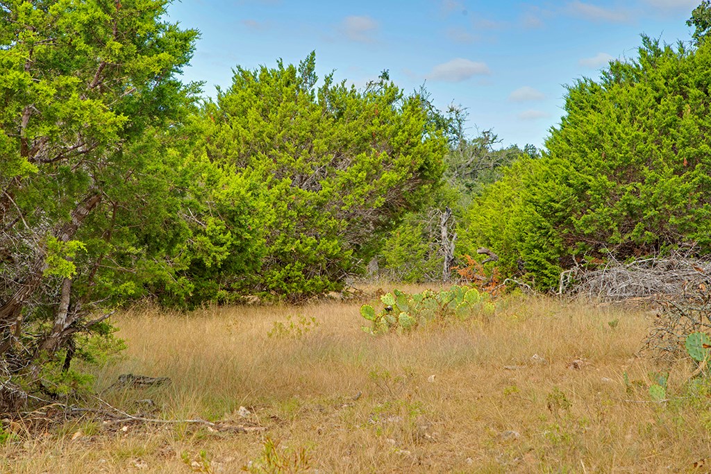 0 Reeh-Weinheimer Road Fredericksburg, TX 78624 - Photo 20 of 25 Gallery Image 20