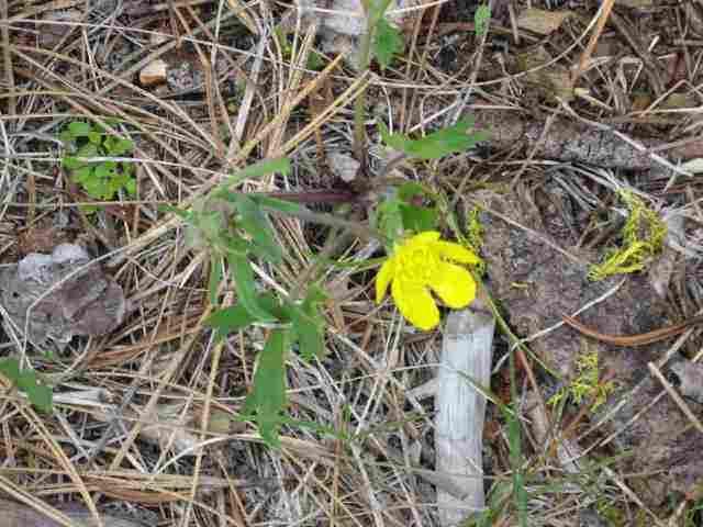 39150 9 9 Mile Road Chiloquin, OR 97624 - Photo 9 of 15 Additional Photo