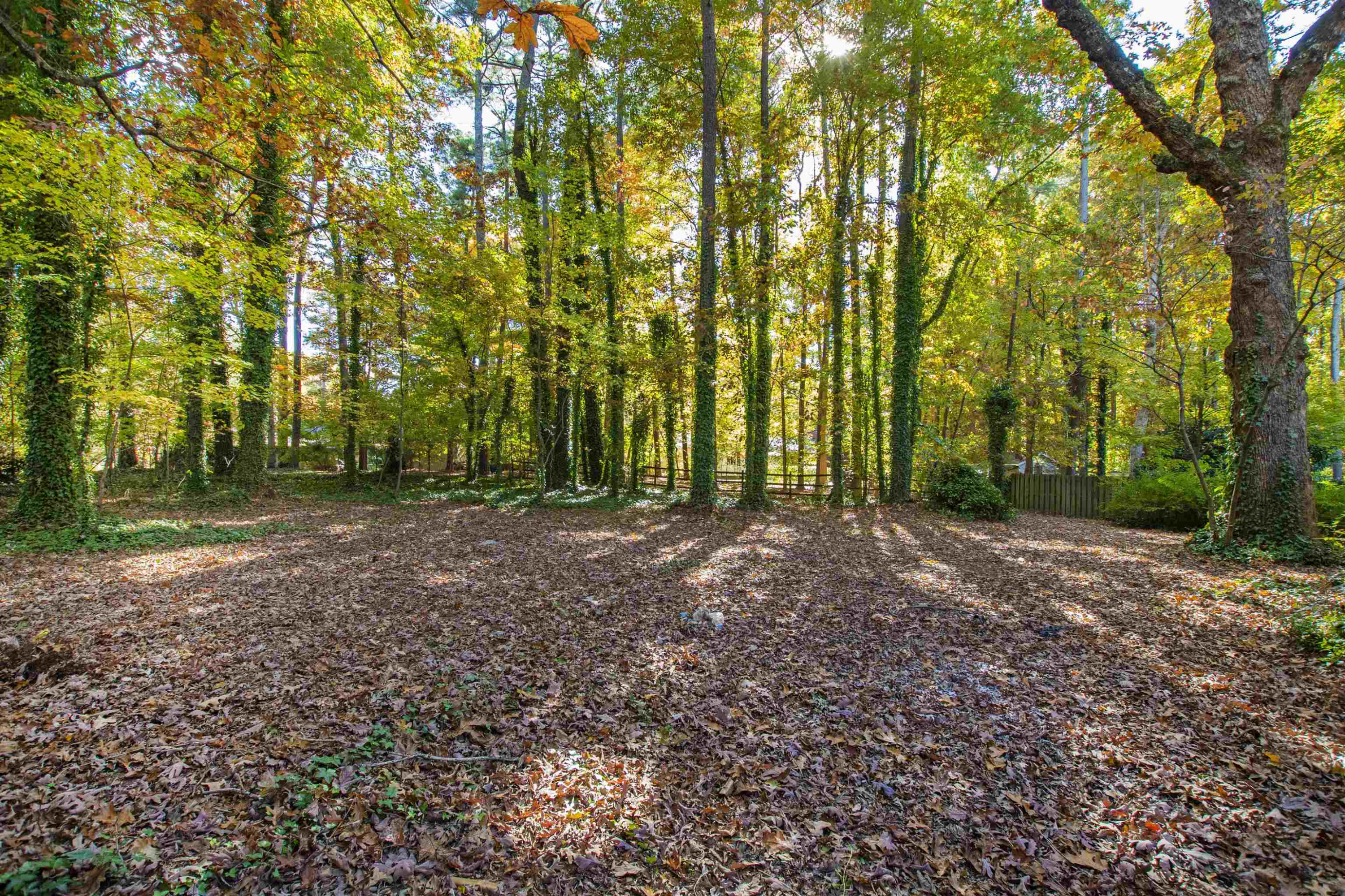 8912 Wellsley Way Raleigh, NC 27613 - Photo 30 of 30 Photo 30