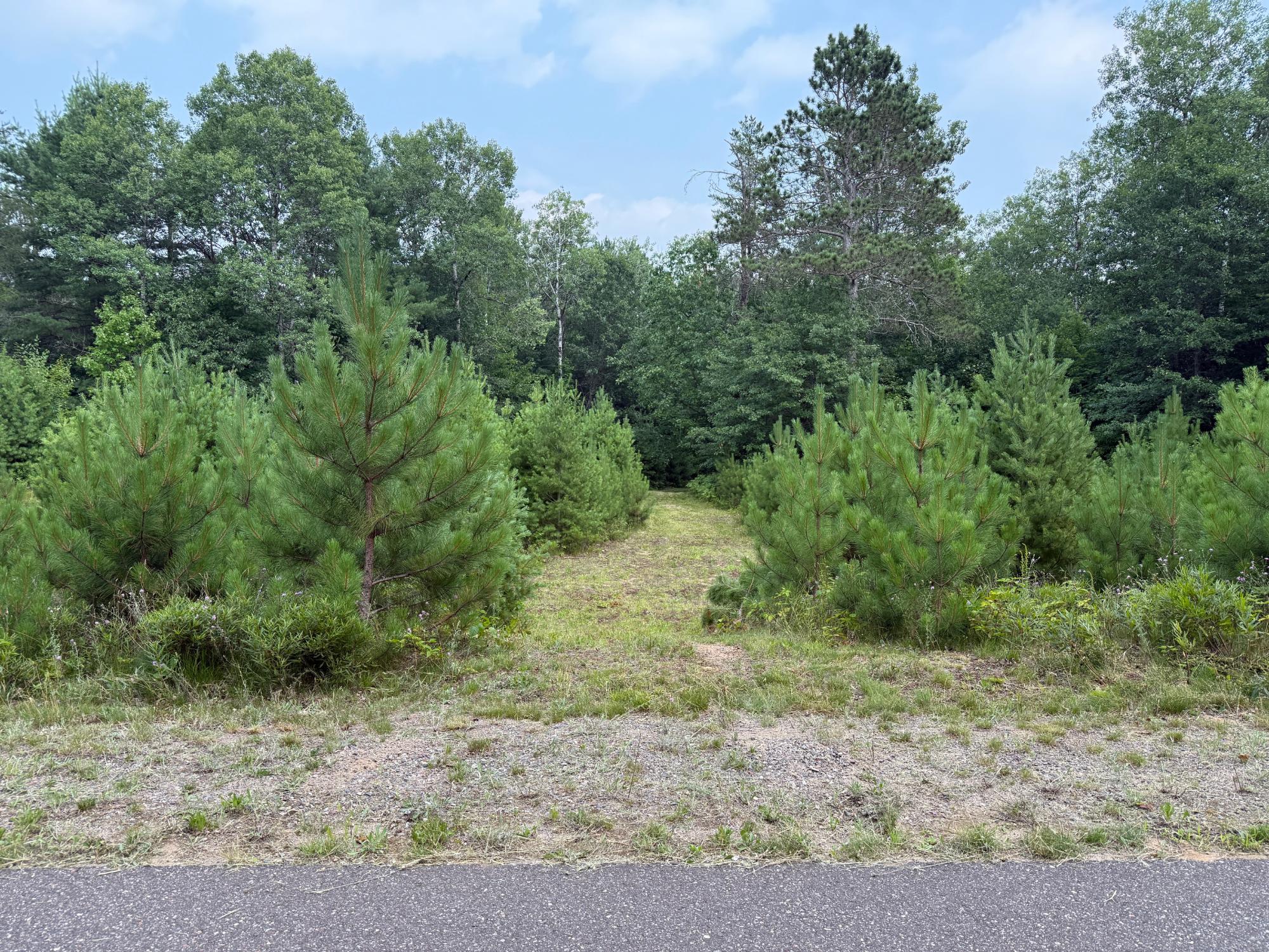 On Malby Lake Road Minocqua, WI 54548 - Photo 1 of 11 Gallery Image 1