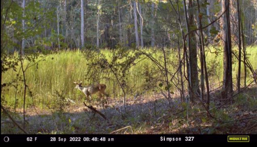 2 Anse Reed Road Magee, MS 39111 - Photo 3 of 9 Photo 3