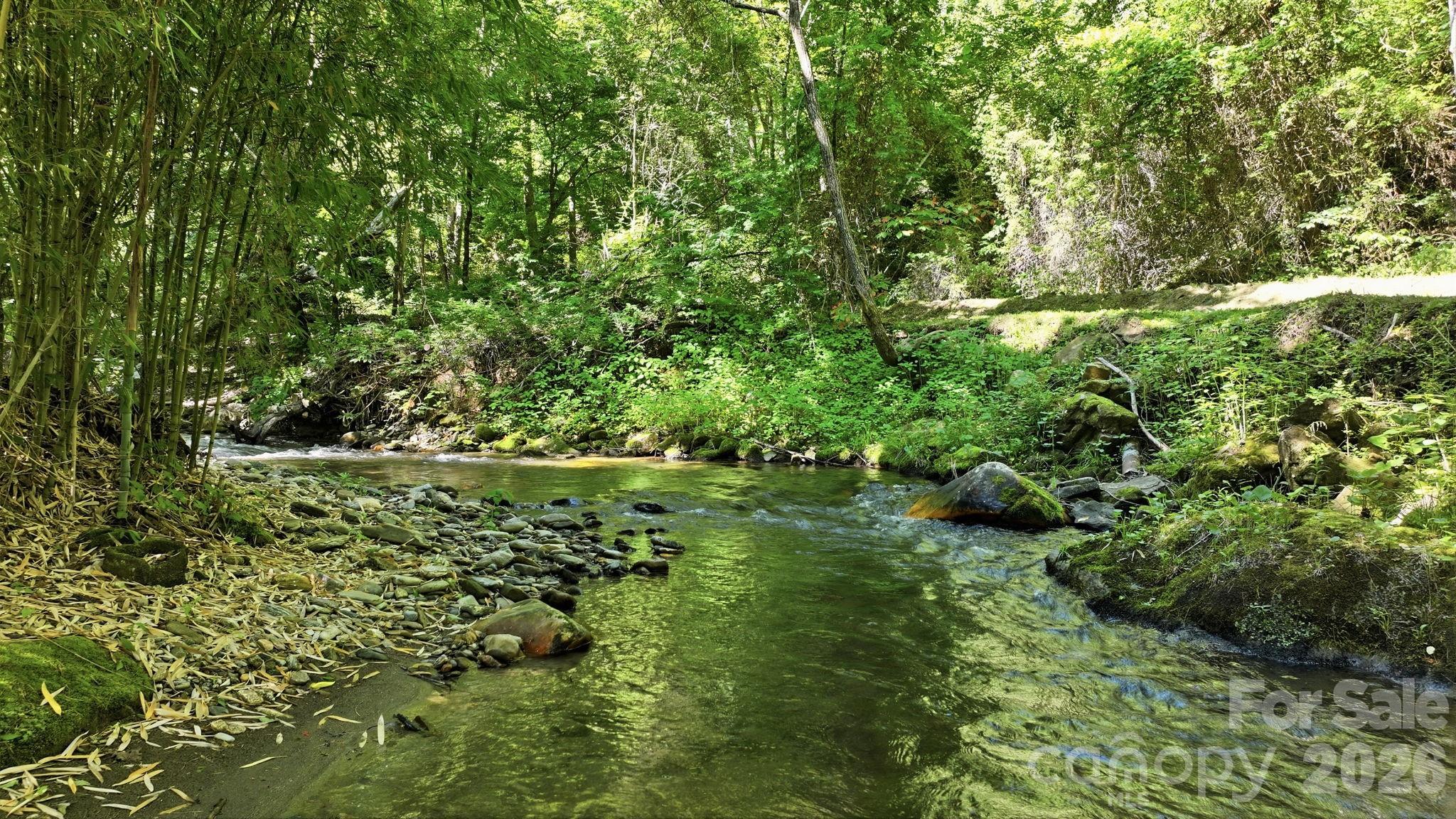Tbd Dark Ridge Road Sylva, NC 28779 - Photo 10 of 17