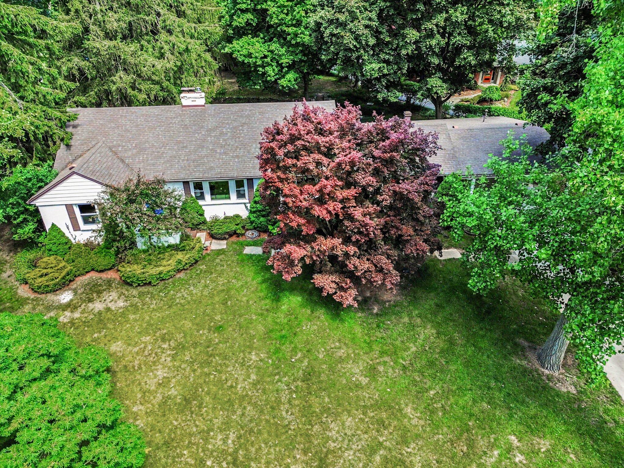 1000 Vesper Road Ann Arbor, MI 48103 - Photo 33 of 47 039_file_3789