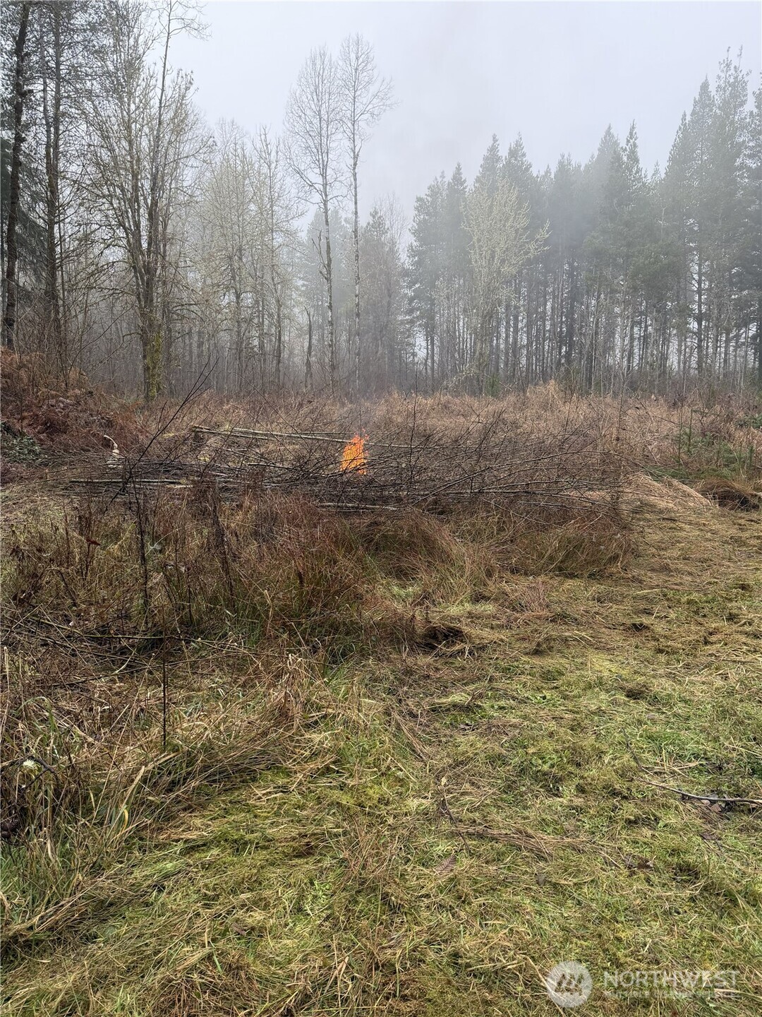 310 Oyler Road Ethel, WA 98542 - Photo 2 of 5 a view of a yard with trees in the background