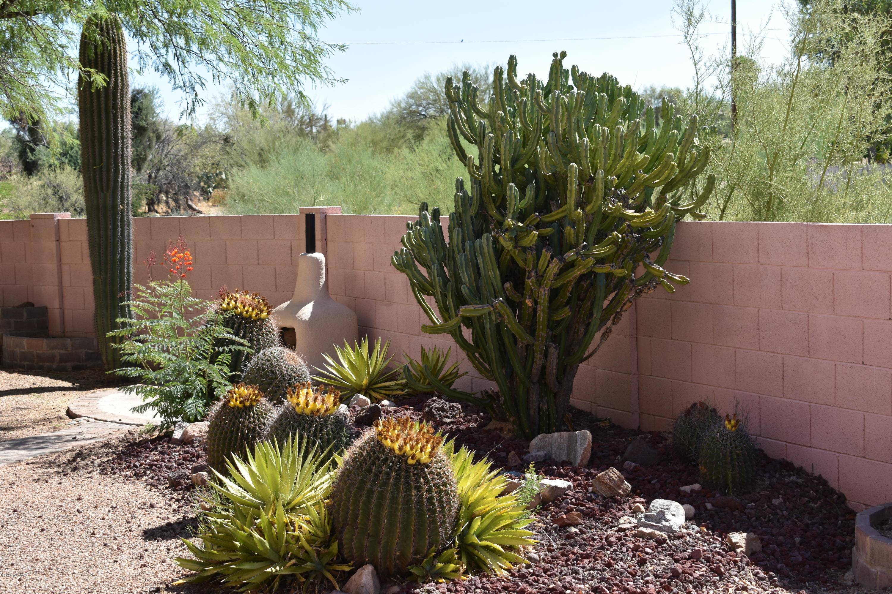 3504 West Sky Ridge Loop Tucson, AZ 85742 - Photo 11 of 13