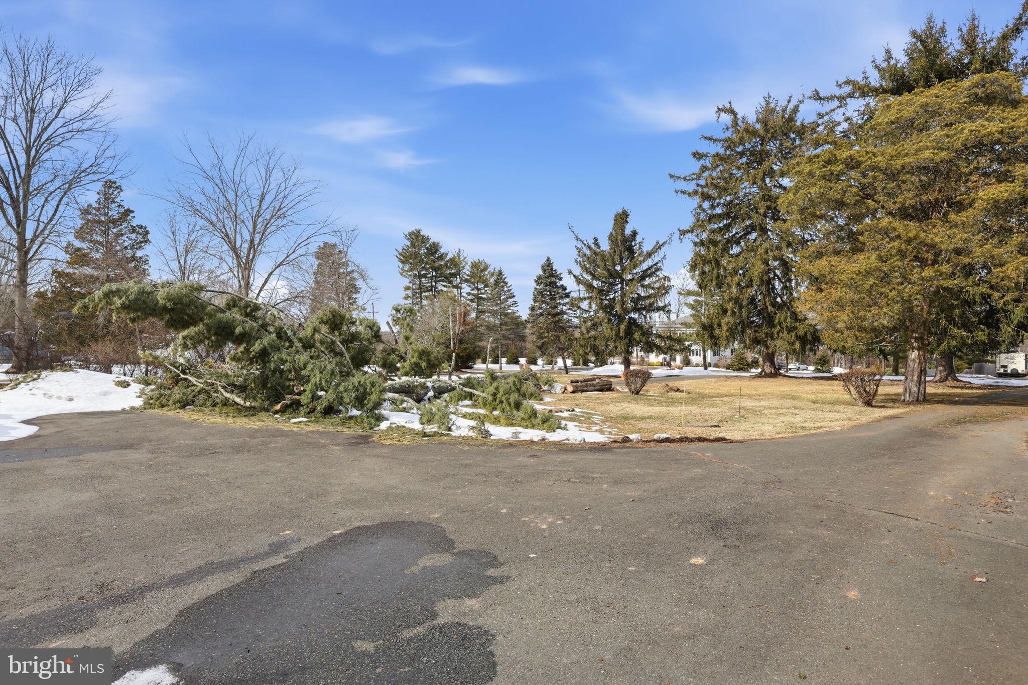 186 Pennington - Harbourton Road Pennington, NJ 08534 - Photo 4 of 20 a view of road with trees