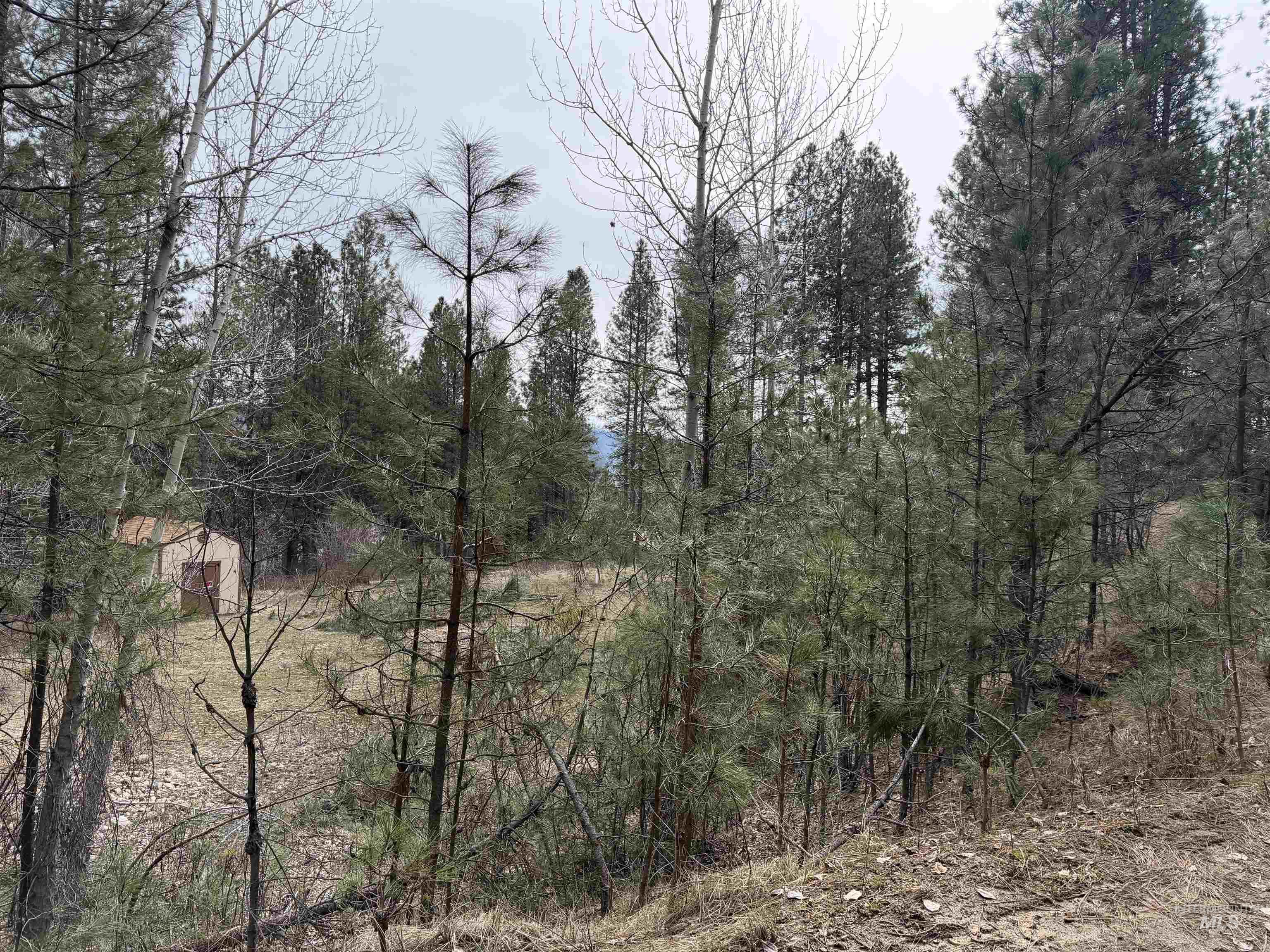 Parcel B South Middlefork Road Garden Valley, ID 83622 - Photo 10 of 12 View of local wilderness