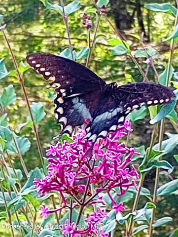 $299,000 | 15 Braziel Heights Road, Kerhonkson, NY 12446