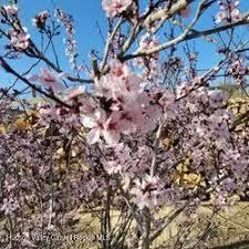 $299,000 | 15 Braziel Heights Road, Kerhonkson, NY 12446