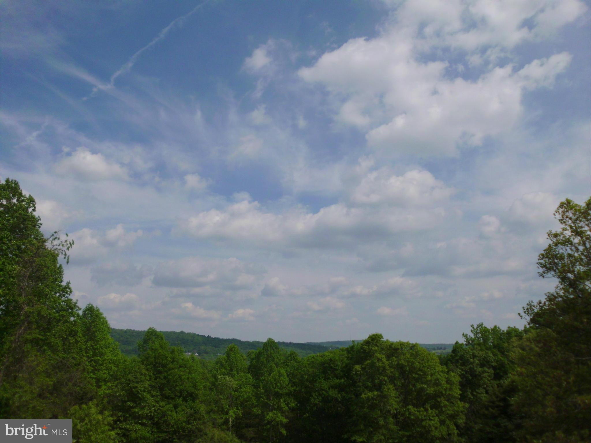 6594 Swains Road Marshall, VA 20115 - Photo 1 of 28 a view of a bunch of trees in a field