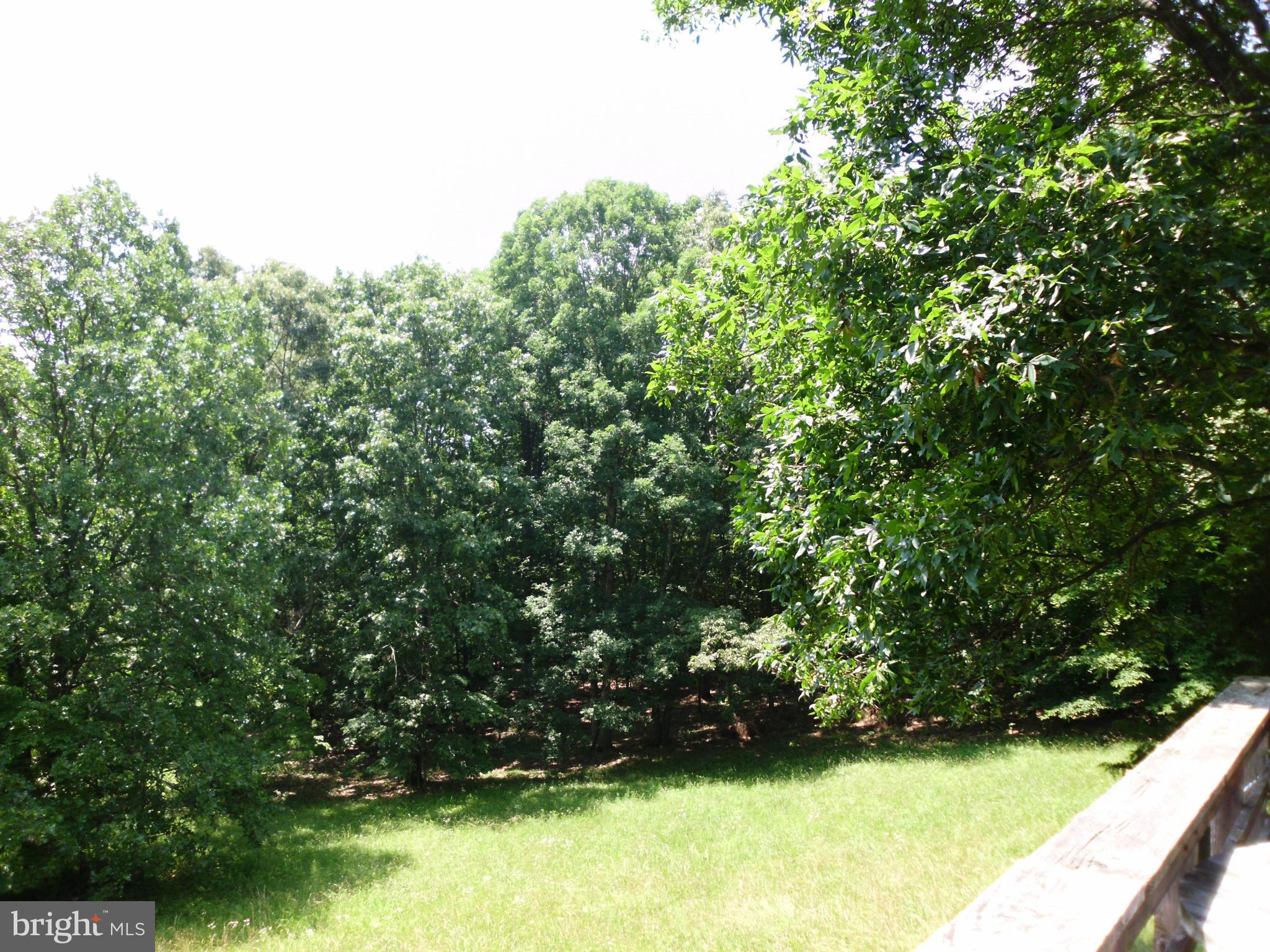 6594 Swains Road Marshall, VA 20115 - Photo 12 of 28 a view of yard