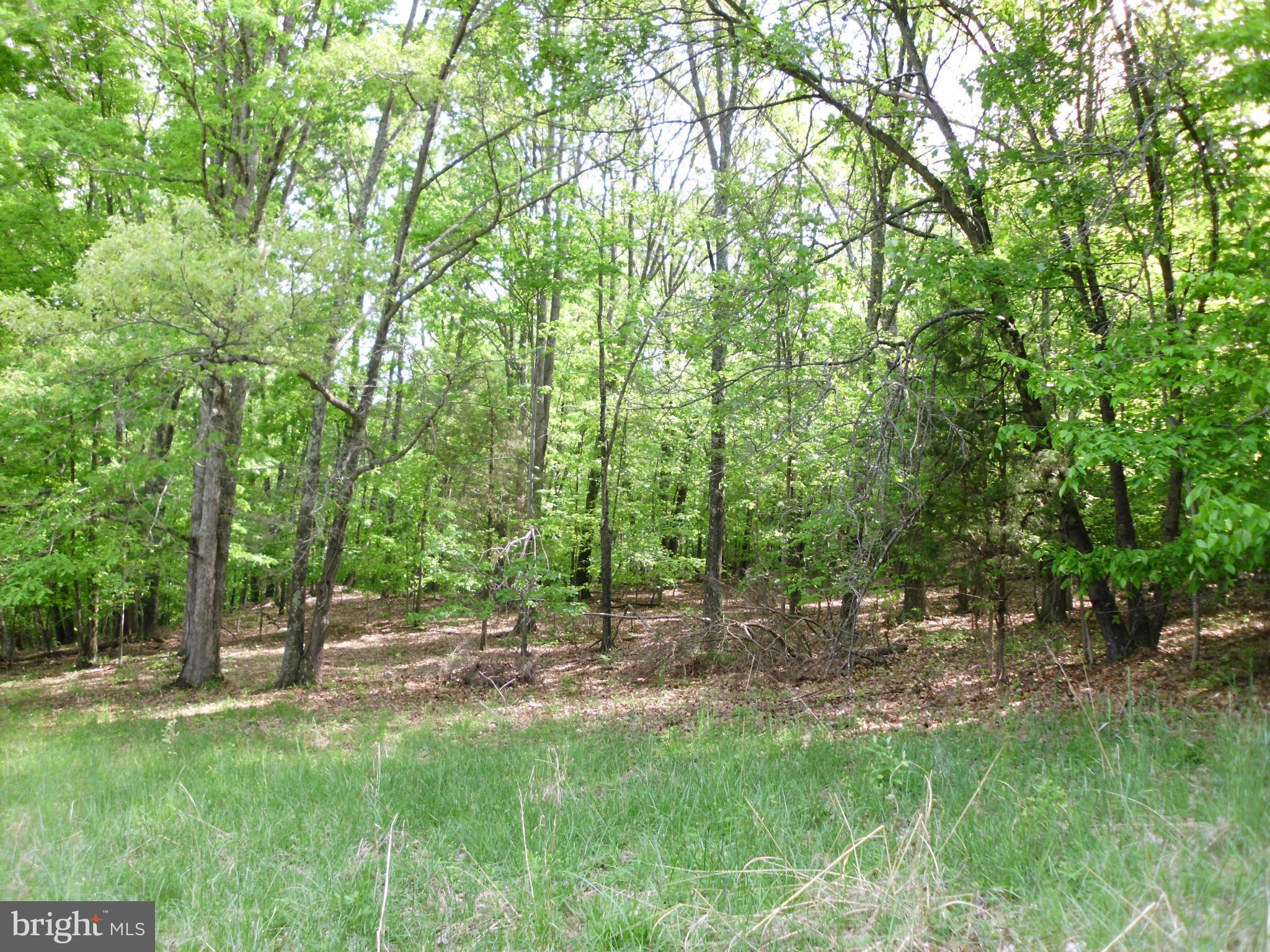 6594 Swains Road Marshall, VA 20115 - Photo 17 of 28 a view of backyard with green space