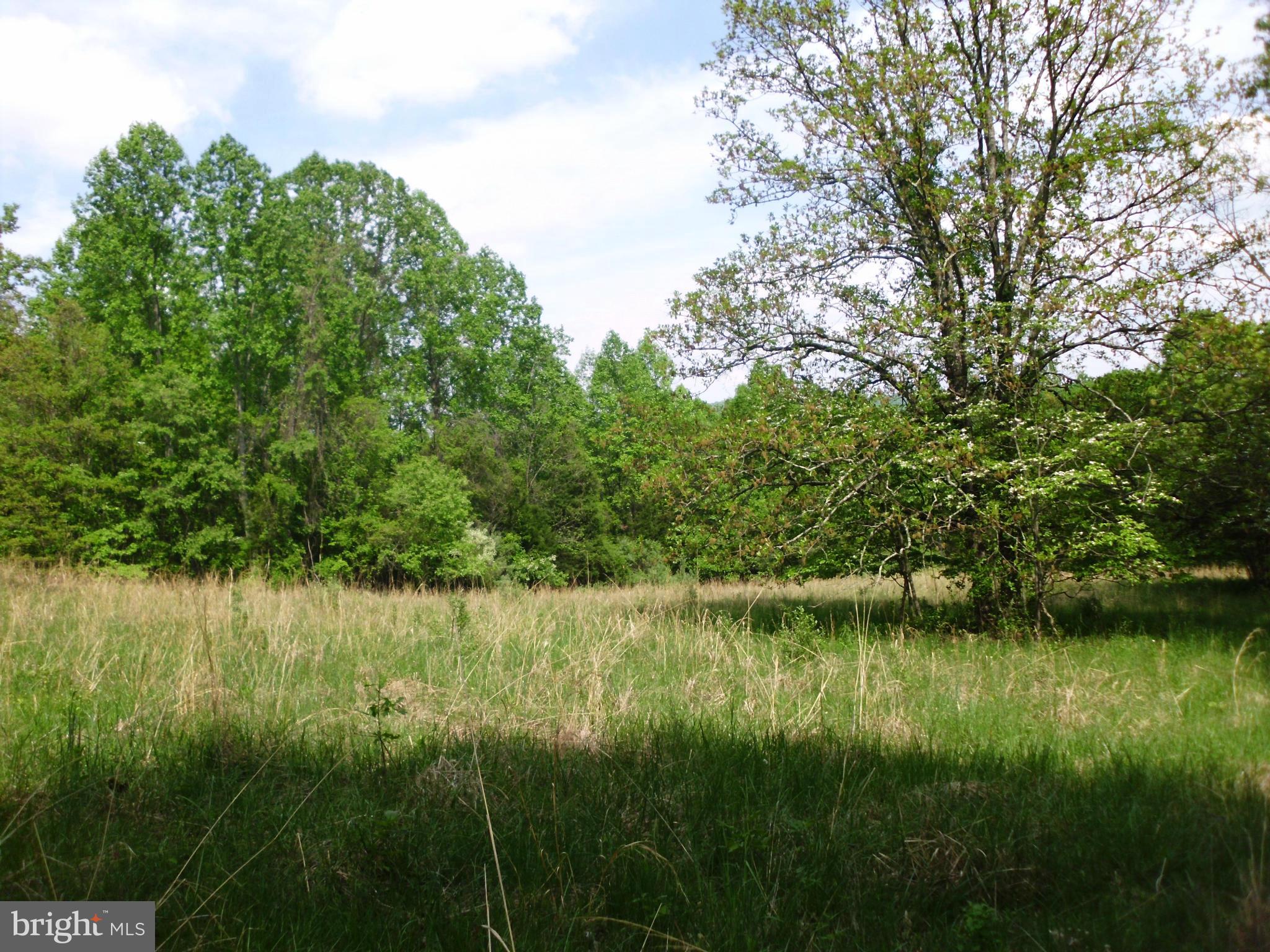 6594 Swains Road Marshall, VA 20115 - Photo 18 of 28 a view of lake with green space