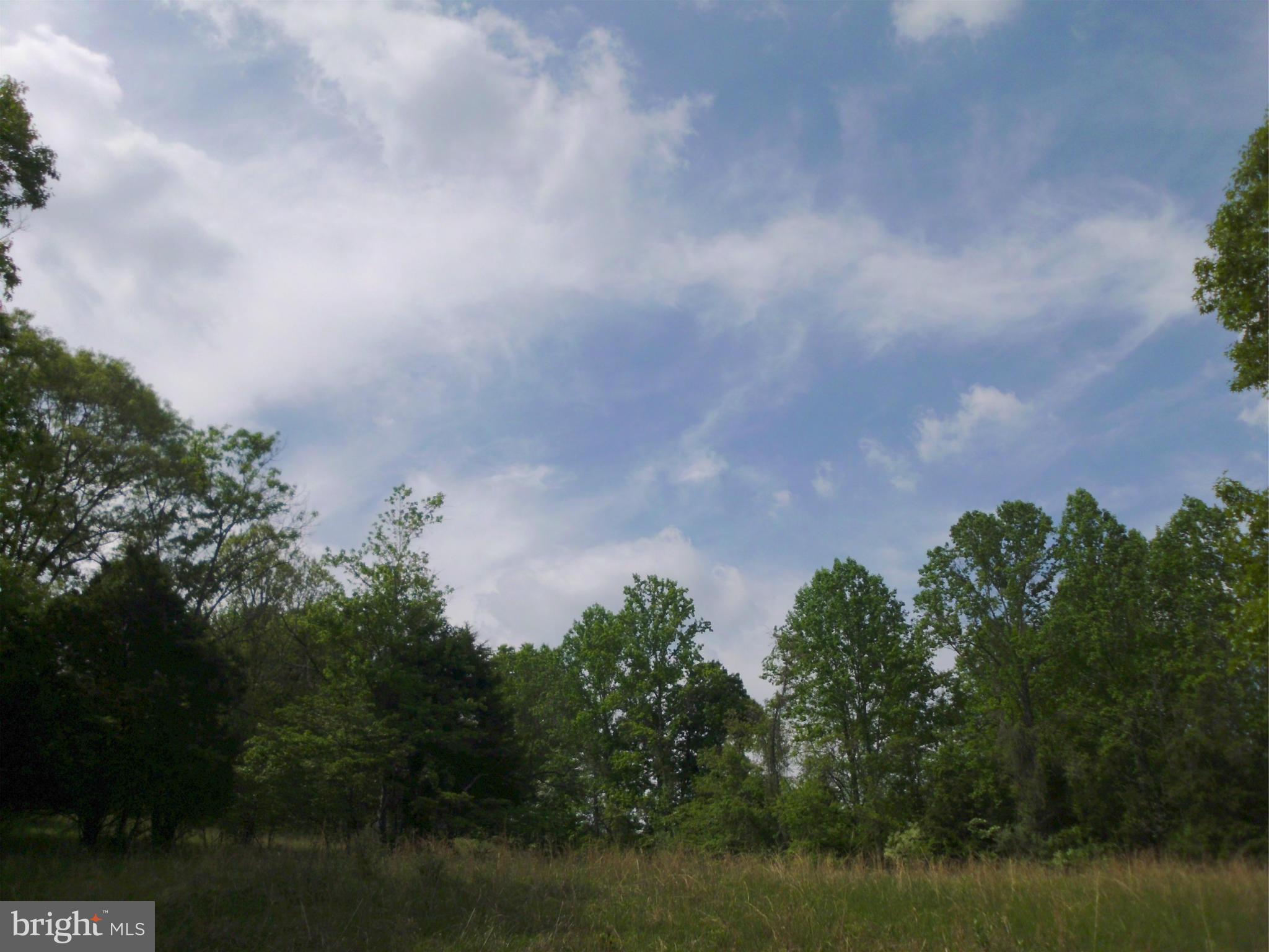 6594 Swains Road Marshall, VA 20115 - Photo 20 of 28 a view of a lake