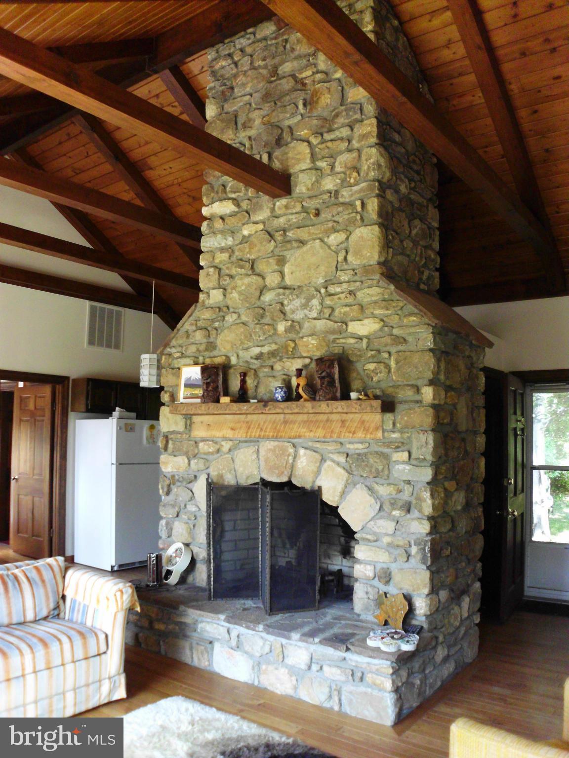 6594 Swains Road Marshall, VA 20115 - Photo 3 of 28 a living room with fireplace and a fireplace