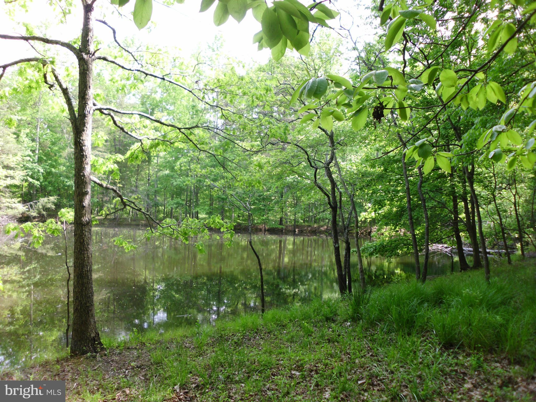 6594 Swains Road Marshall, VA 20115 - Photo 22 of 28 a view of lake with green space
