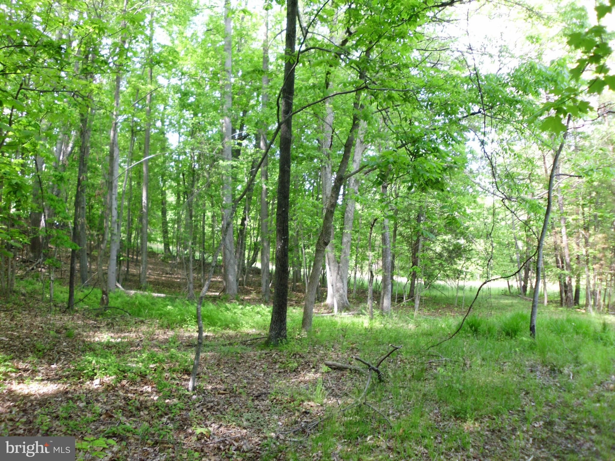6594 Swains Road Marshall, VA 20115 - Photo 24 of 28 a backyard of a house with lots of green space