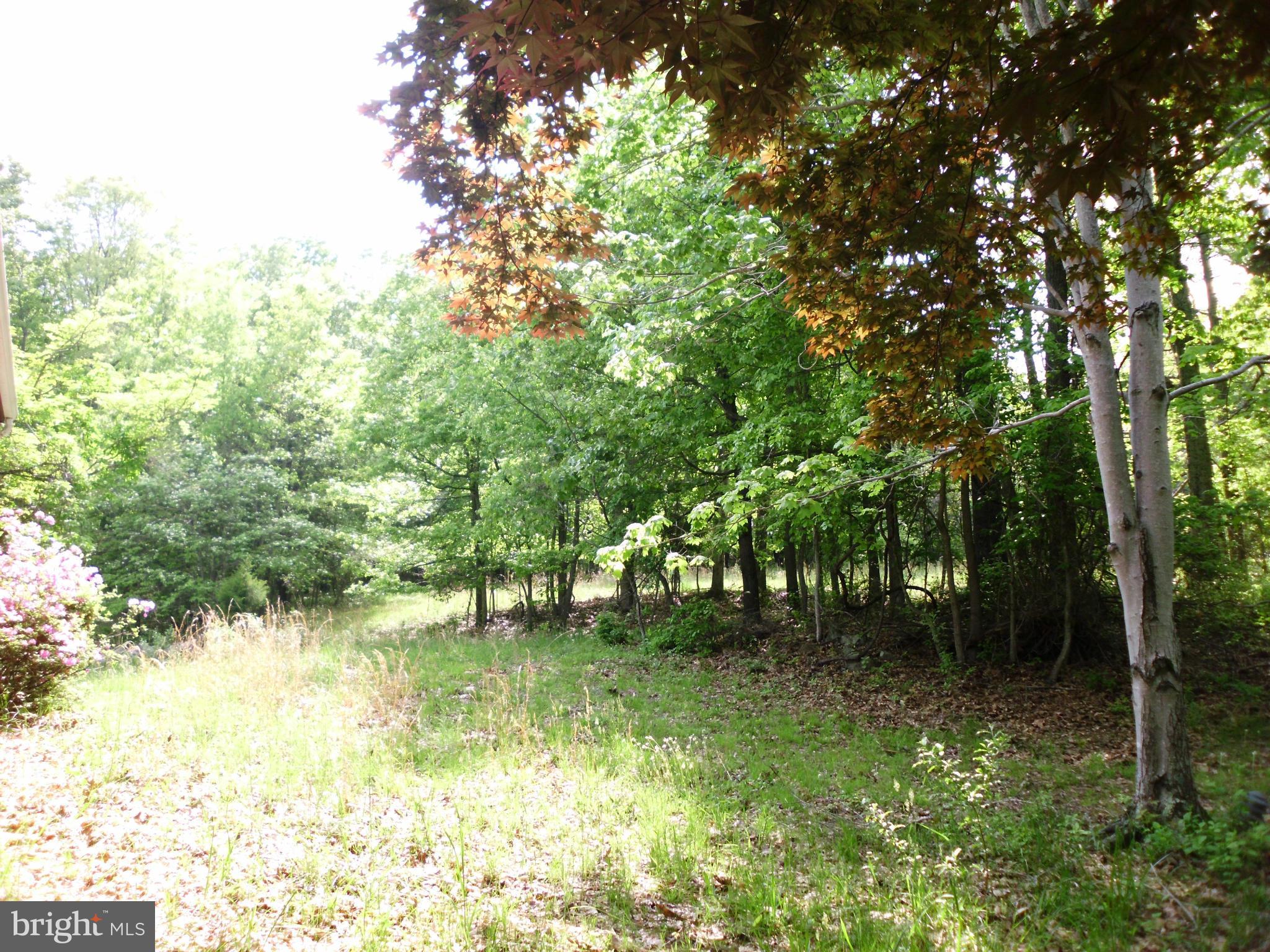 6594 Swains Road Marshall, VA 20115 - Photo 26 of 28 a view of lake with green space