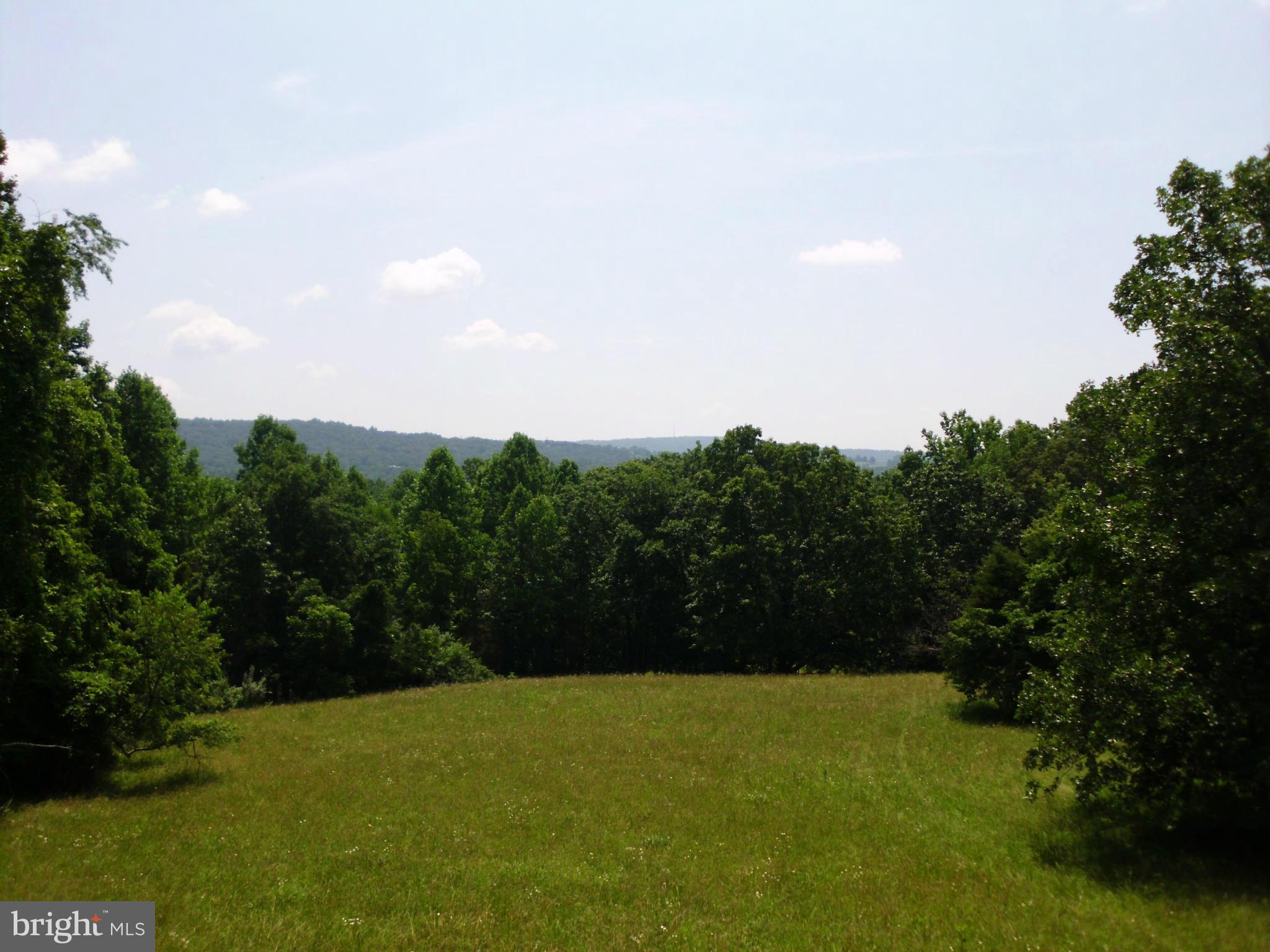 6594 Swains Road Marshall, VA 20115 - Photo 28 of 28 a view of a yard with a tree