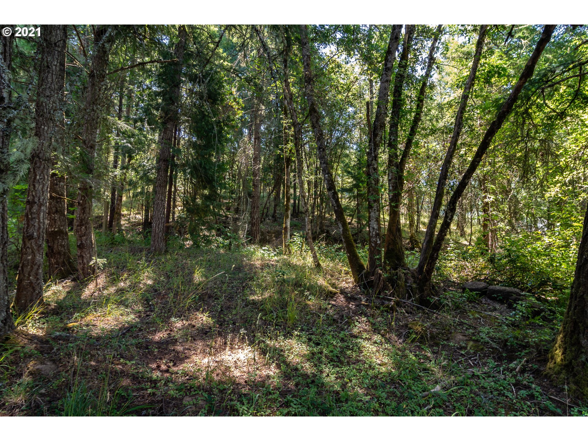 5236 Buckhorn Road Roseburg, OR 97470 - Photo 12 of 29 Gallery Image 12