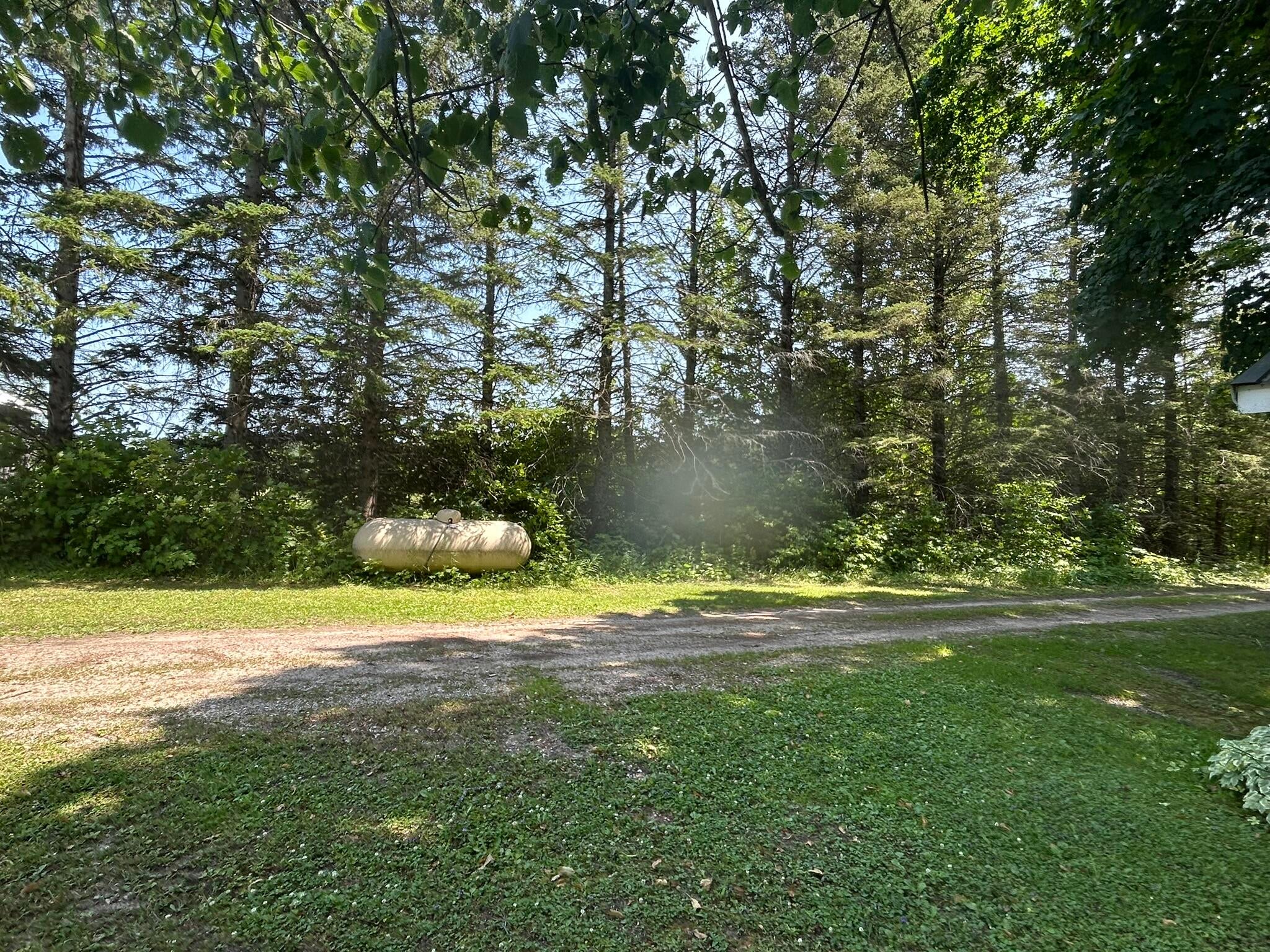 28348 West County Line Road Trout Lake, MI 49793 - Photo 11 of 83 Gallery Image 11