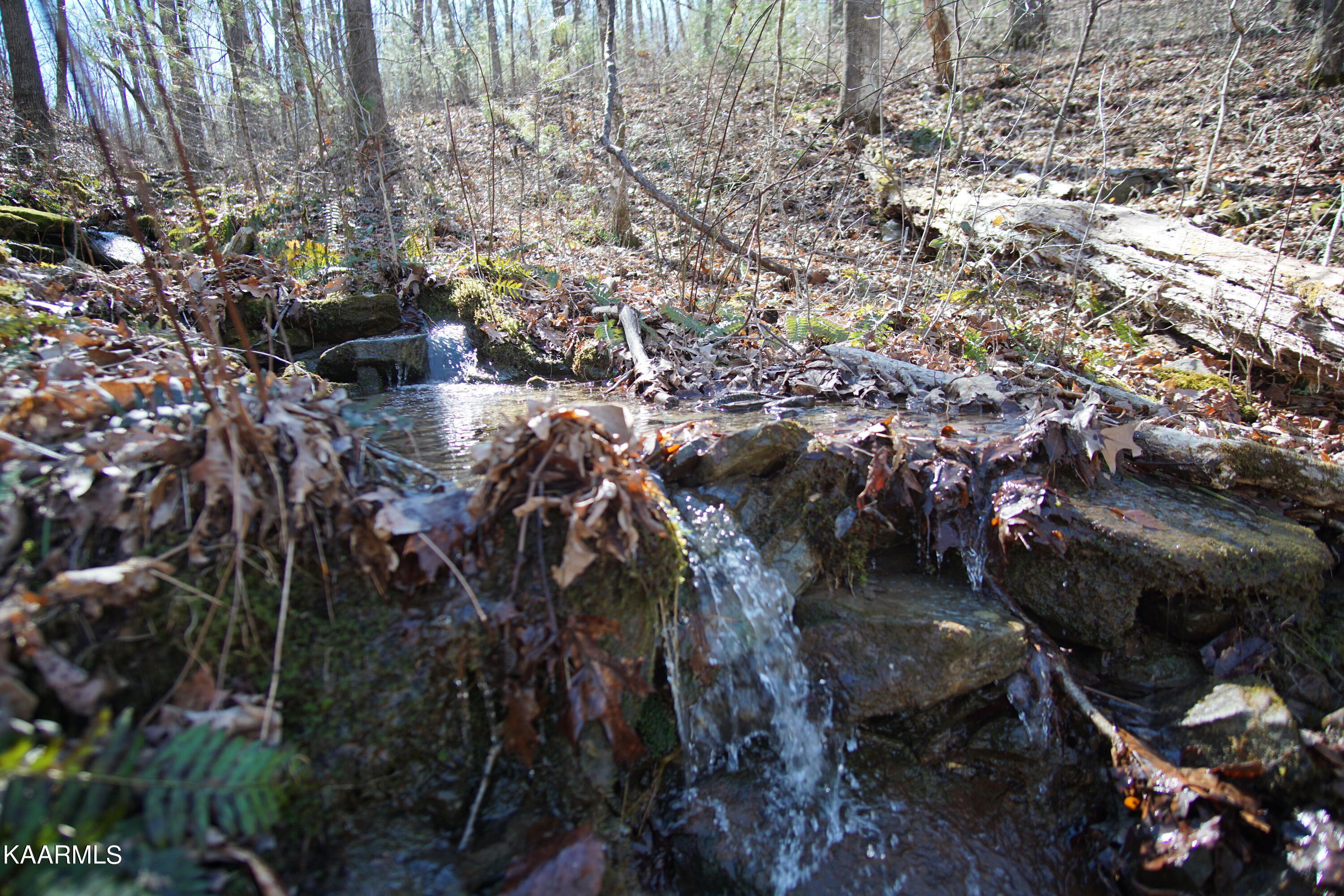 Glades Road Deer Lodge, TN 37726 - Photo 12 of 29 DSC06830