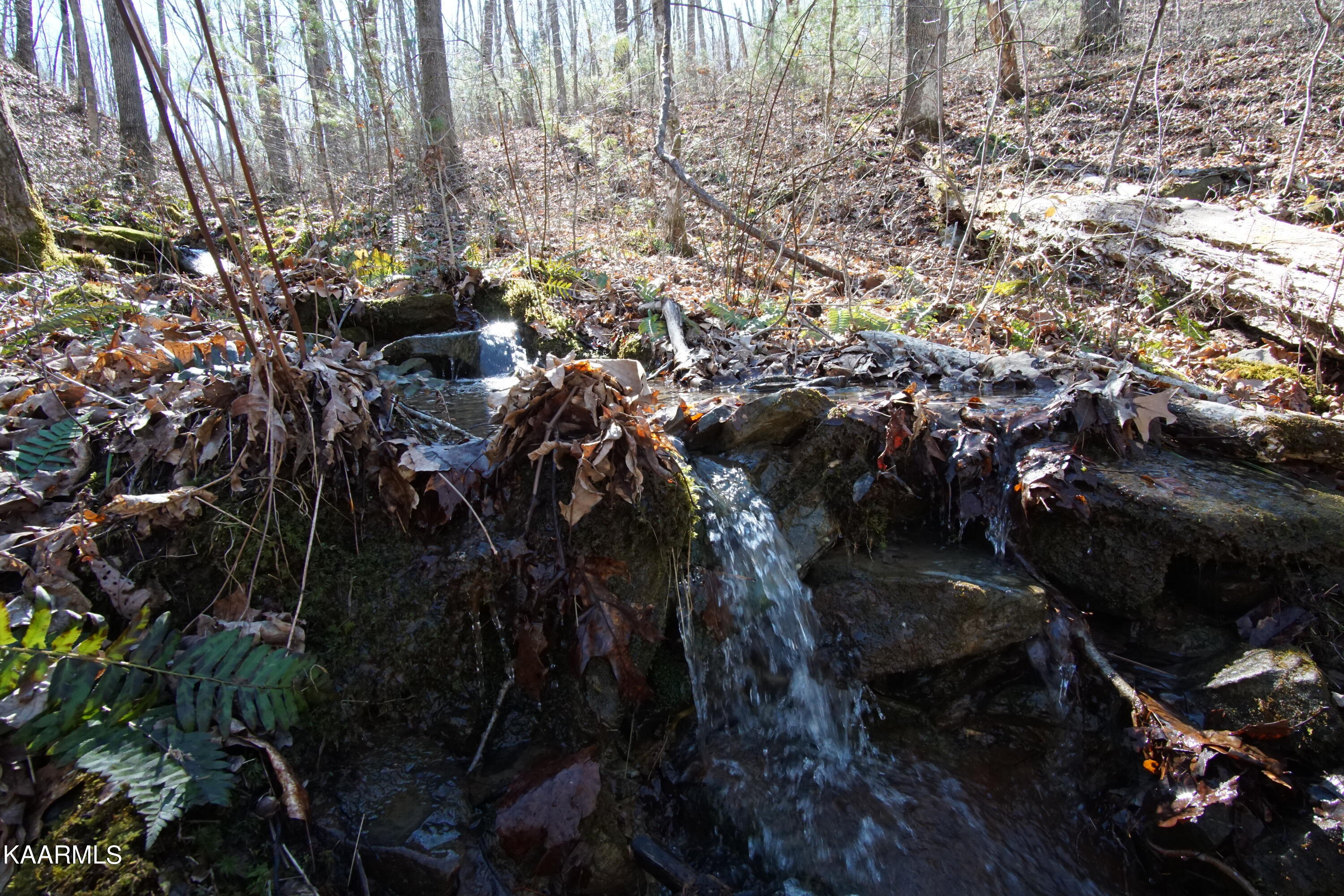 Glades Road Deer Lodge, TN 37726 - Photo 14 of 29 DSC06832