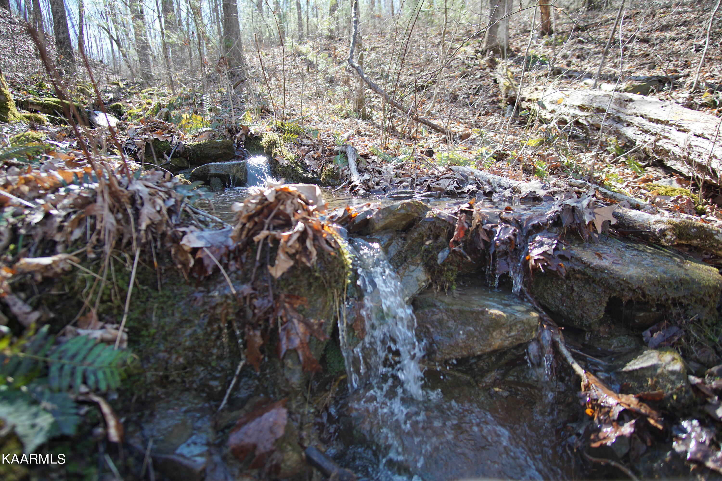 Glades Road Deer Lodge, TN 37726 - Photo 15 of 29 DSC06833