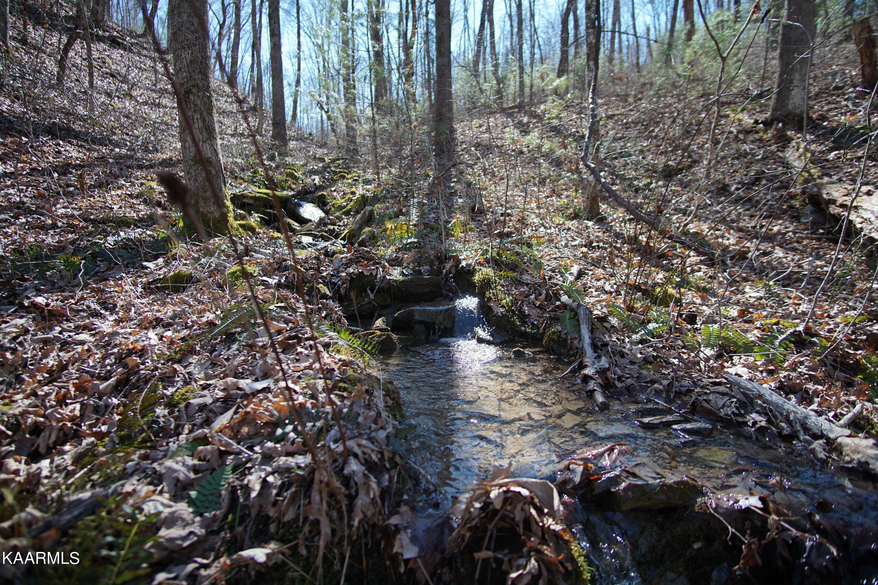 Glades Road Deer Lodge, TN 37726 - Photo 16 of 29 DSC06834