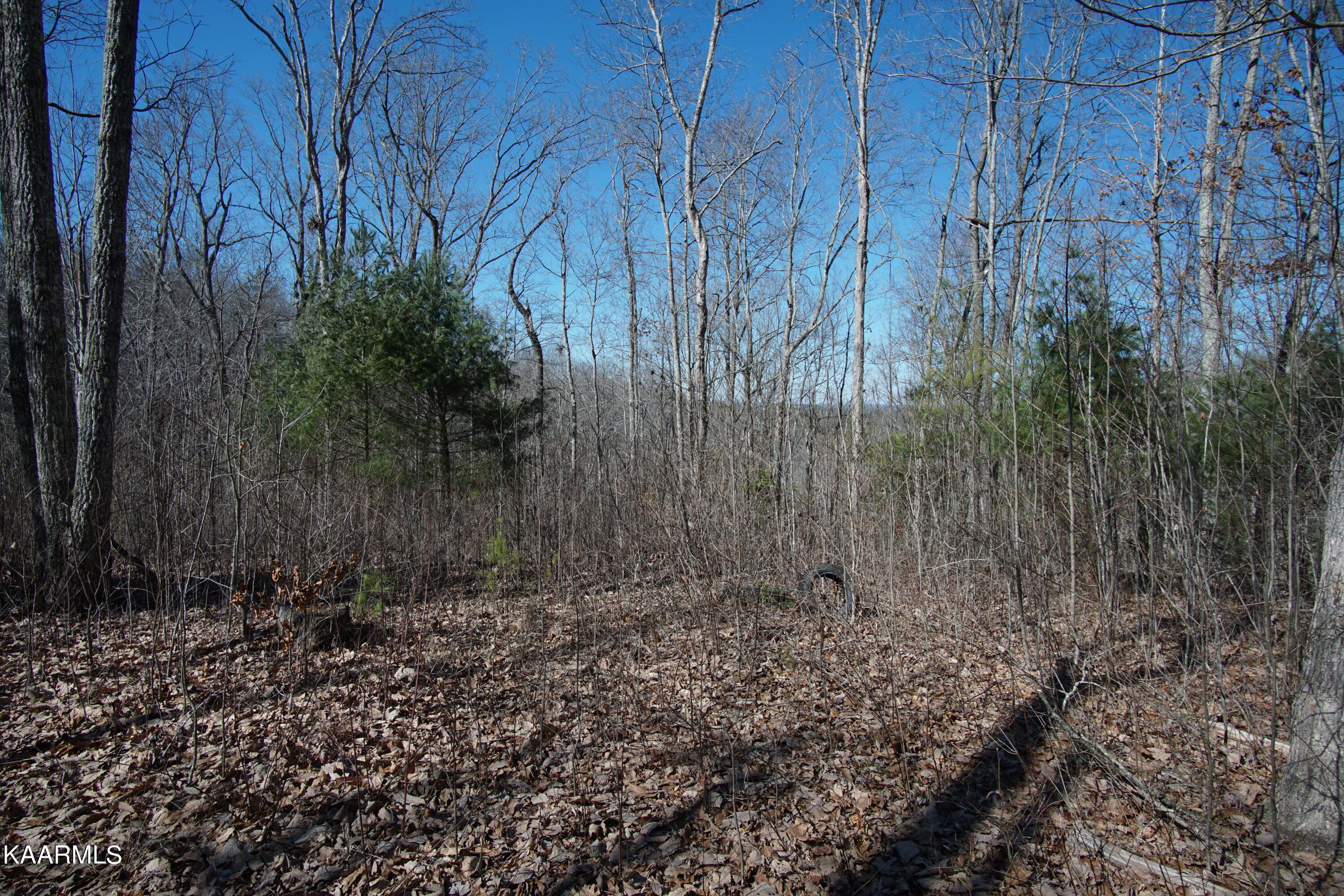 Glades Road Deer Lodge, TN 37726 - Photo 18 of 29 DSC06837