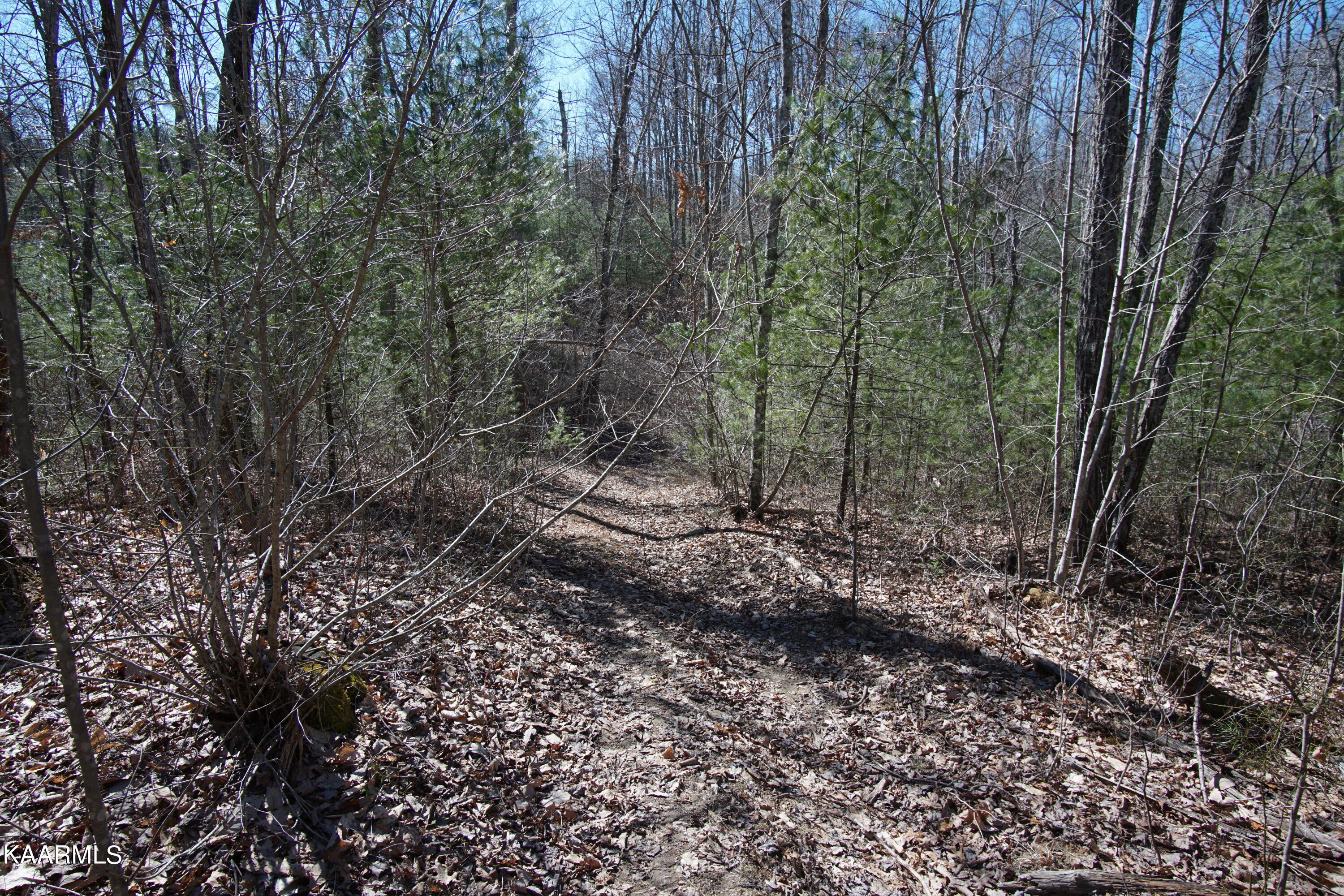 Glades Road Deer Lodge, TN 37726 - Photo 19 of 29 DSC06838