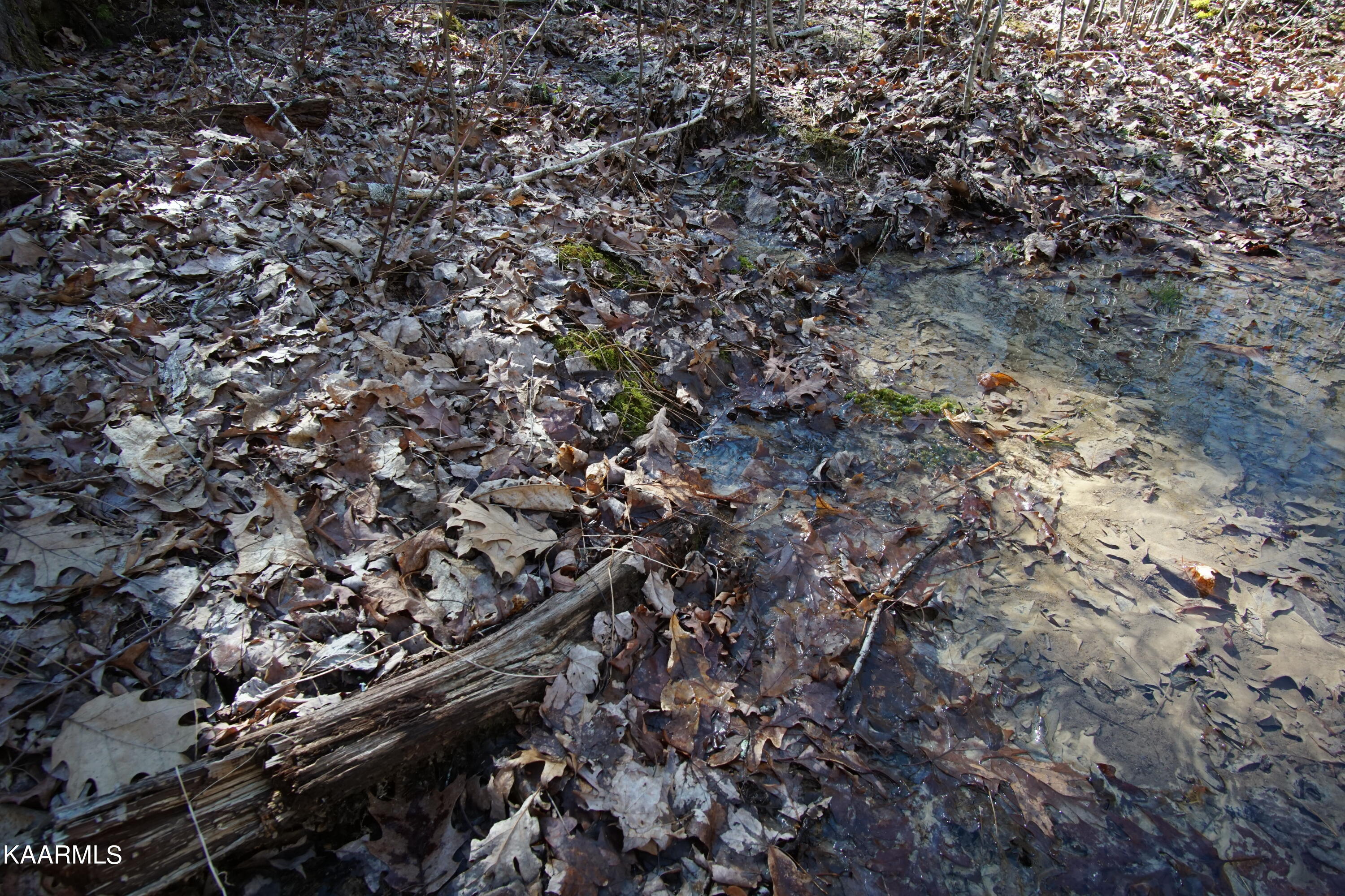Glades Road Deer Lodge, TN 37726 - Photo 20 of 29 DSC06839