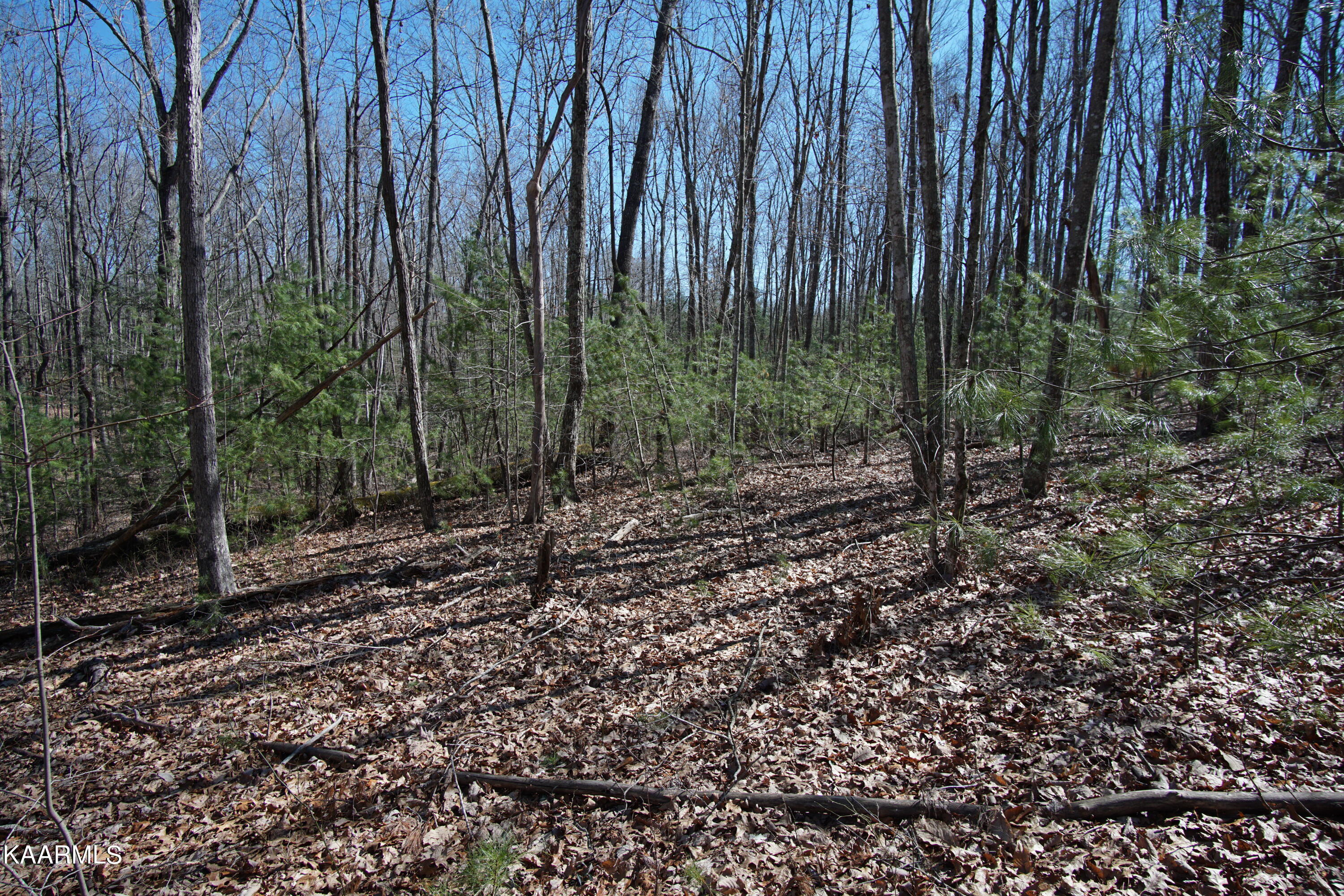 Glades Road Deer Lodge, TN 37726 - Photo 2 of 29 DSC06820