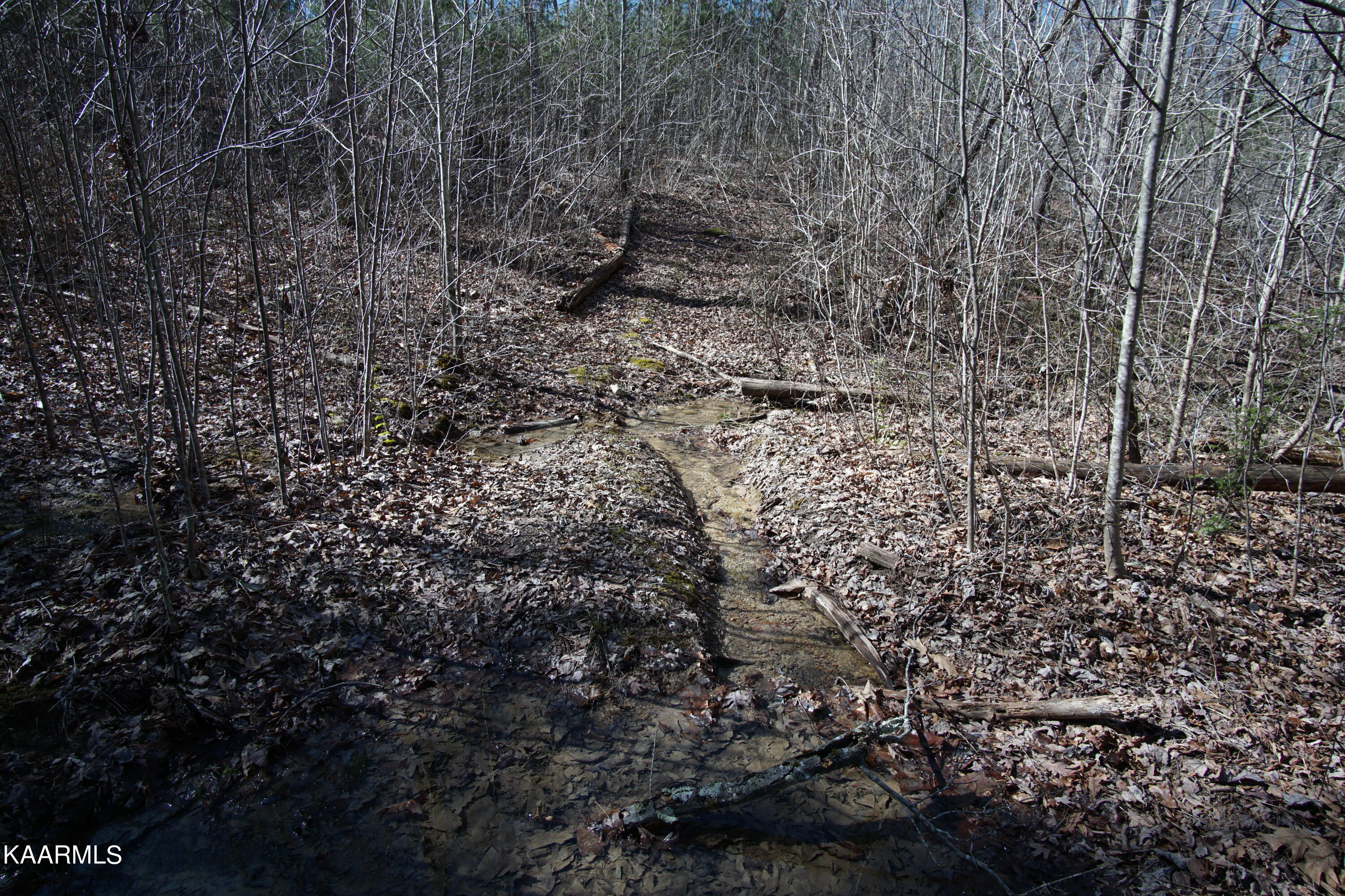 Glades Road Deer Lodge, TN 37726 - Photo 21 of 29 DSC06840