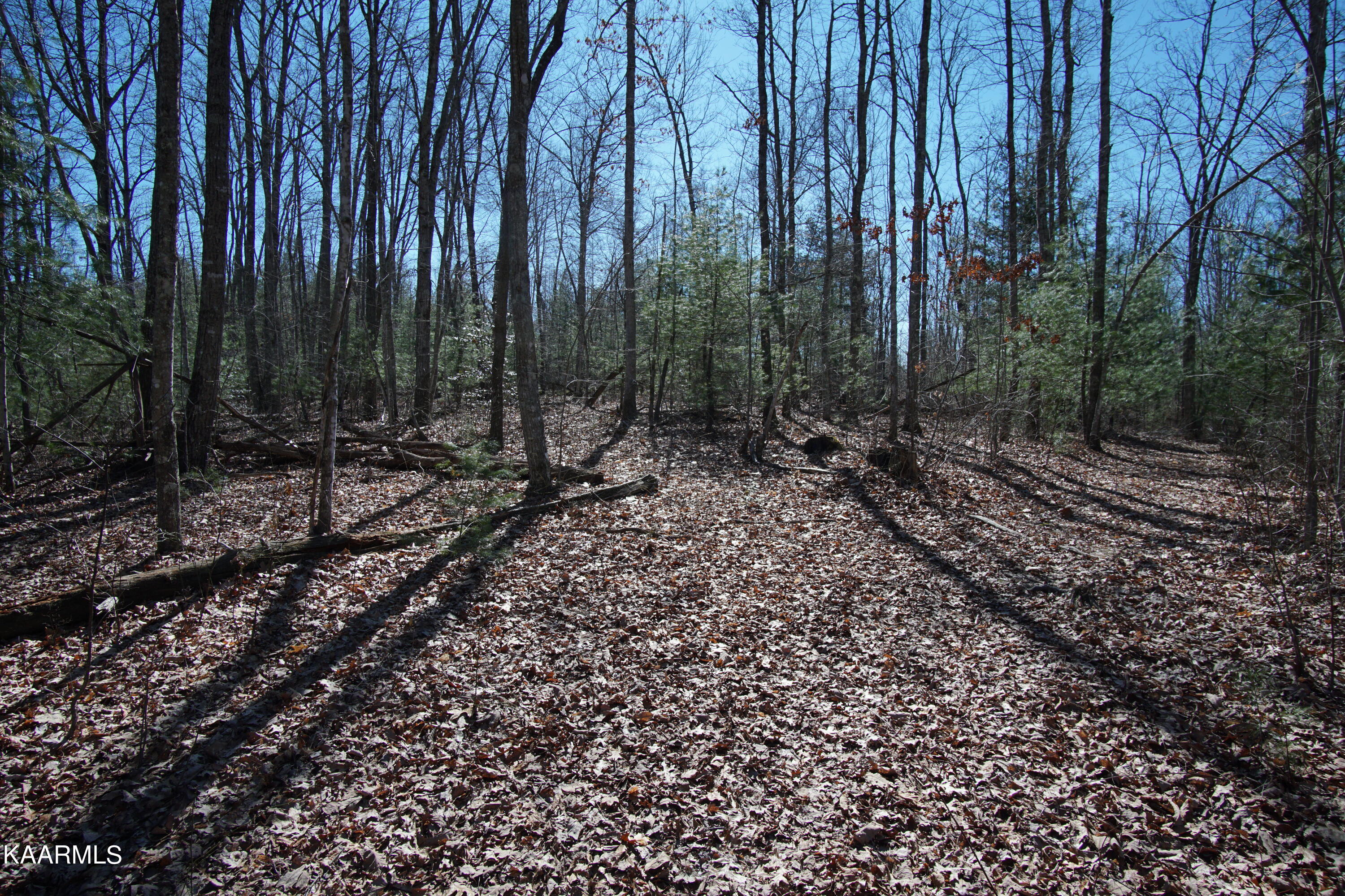 Glades Road Deer Lodge, TN 37726 - Photo 23 of 29 DSC06842
