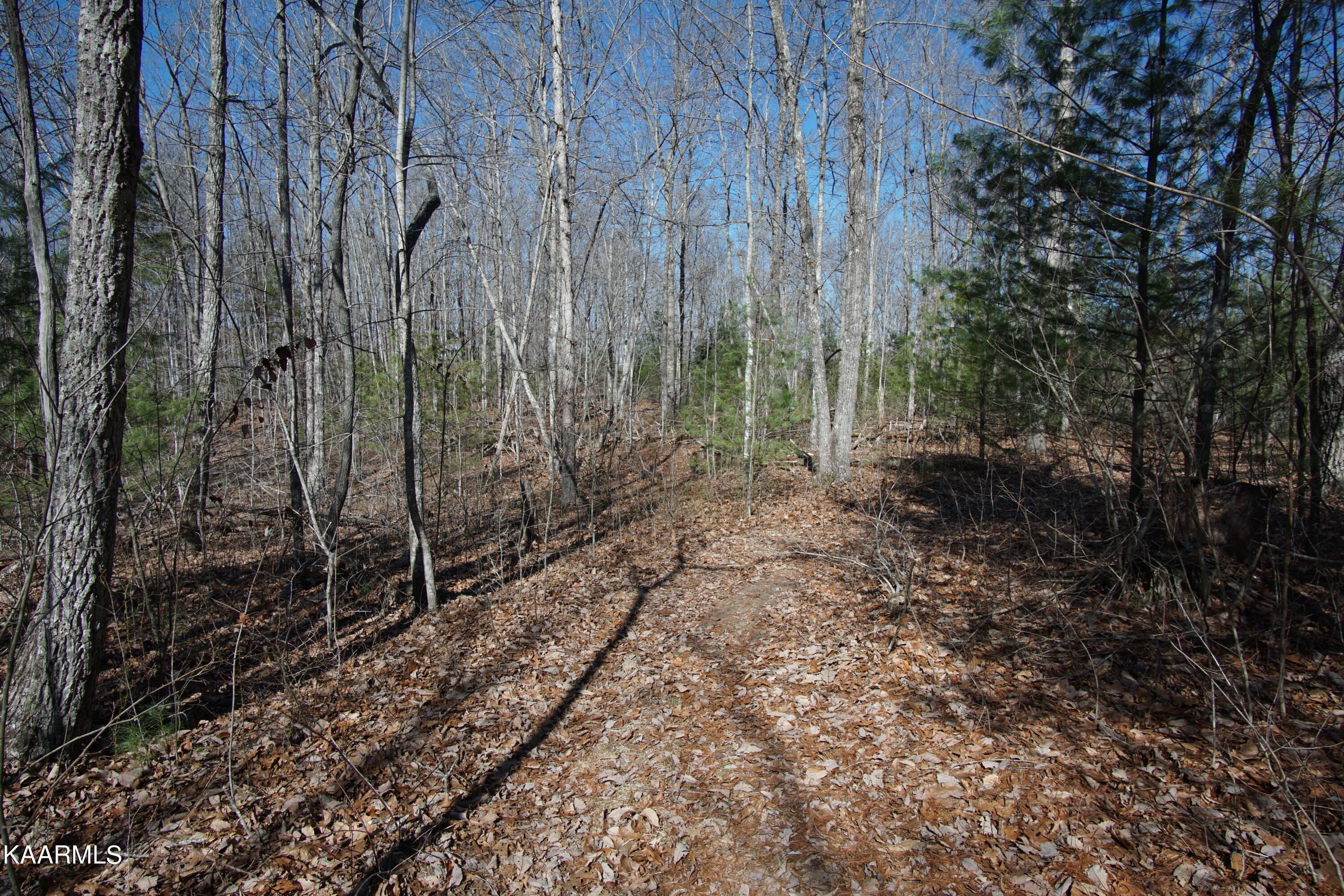 Glades Road Deer Lodge, TN 37726 - Photo 24 of 29 DSC06843