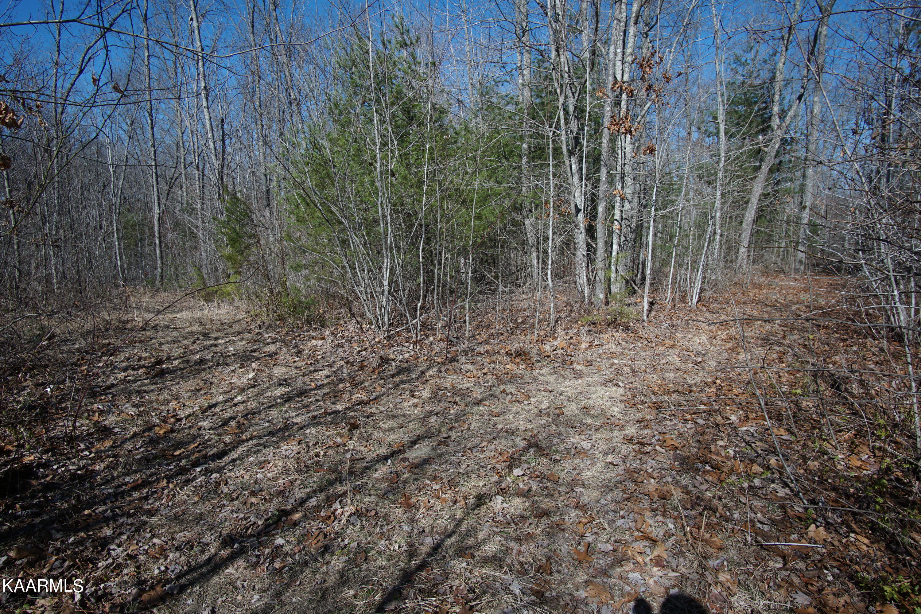 Glades Road Deer Lodge, TN 37726 - Photo 25 of 29 DSC06844