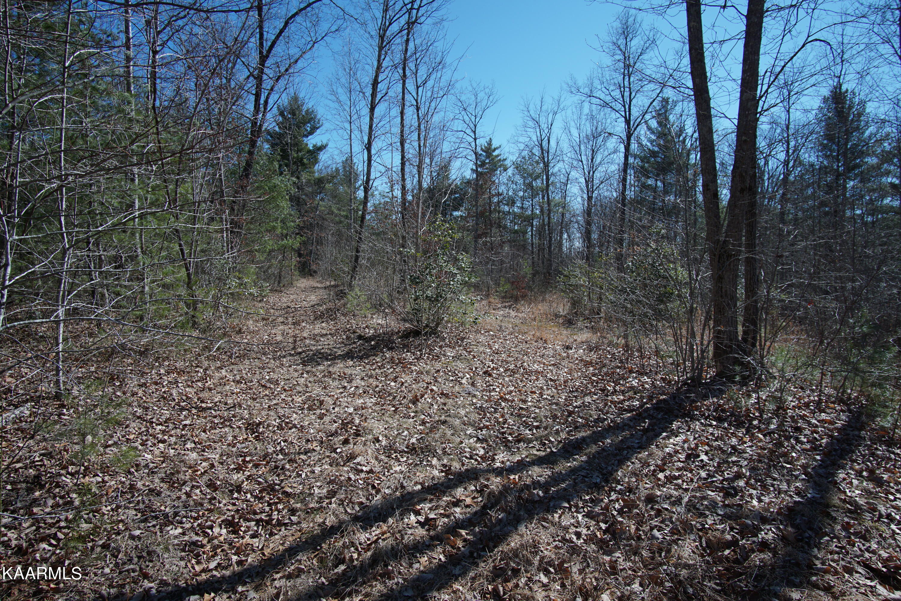 Glades Road Deer Lodge, TN 37726 - Photo 26 of 29 DSC06845