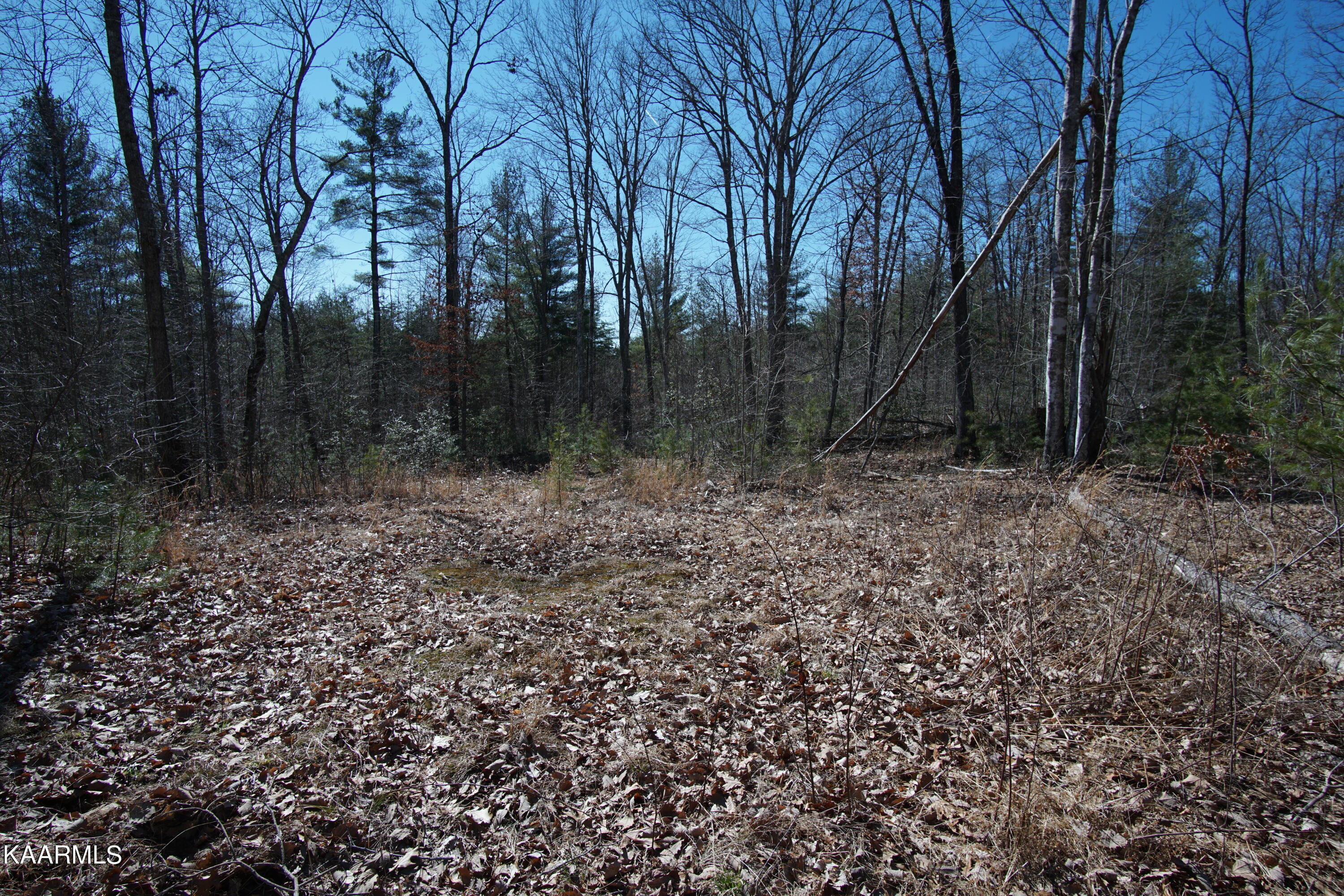 Glades Road Deer Lodge, TN 37726 - Photo 27 of 29 DSC06846