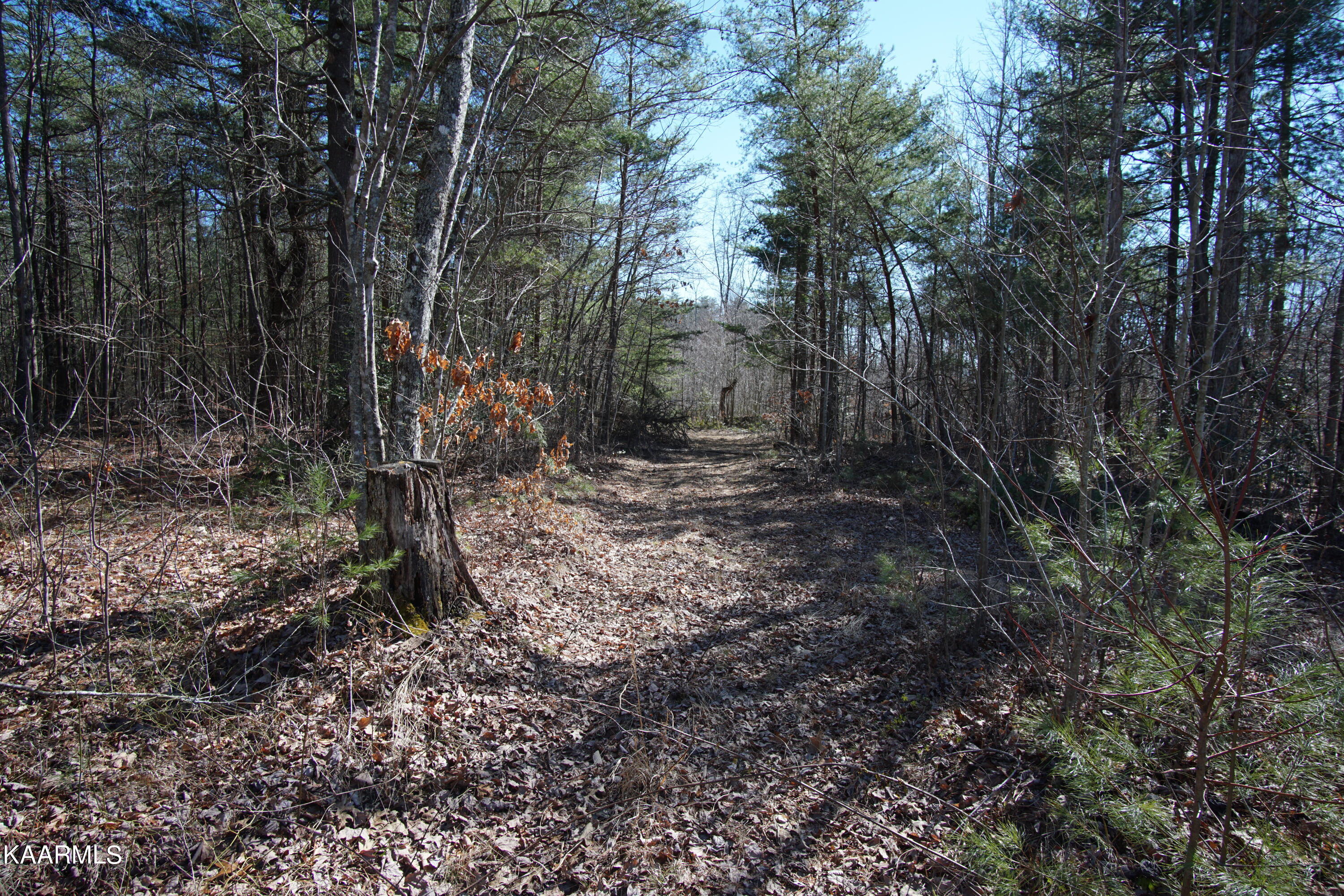 Glades Road Deer Lodge, TN 37726 - Photo 28 of 29 DSC06847