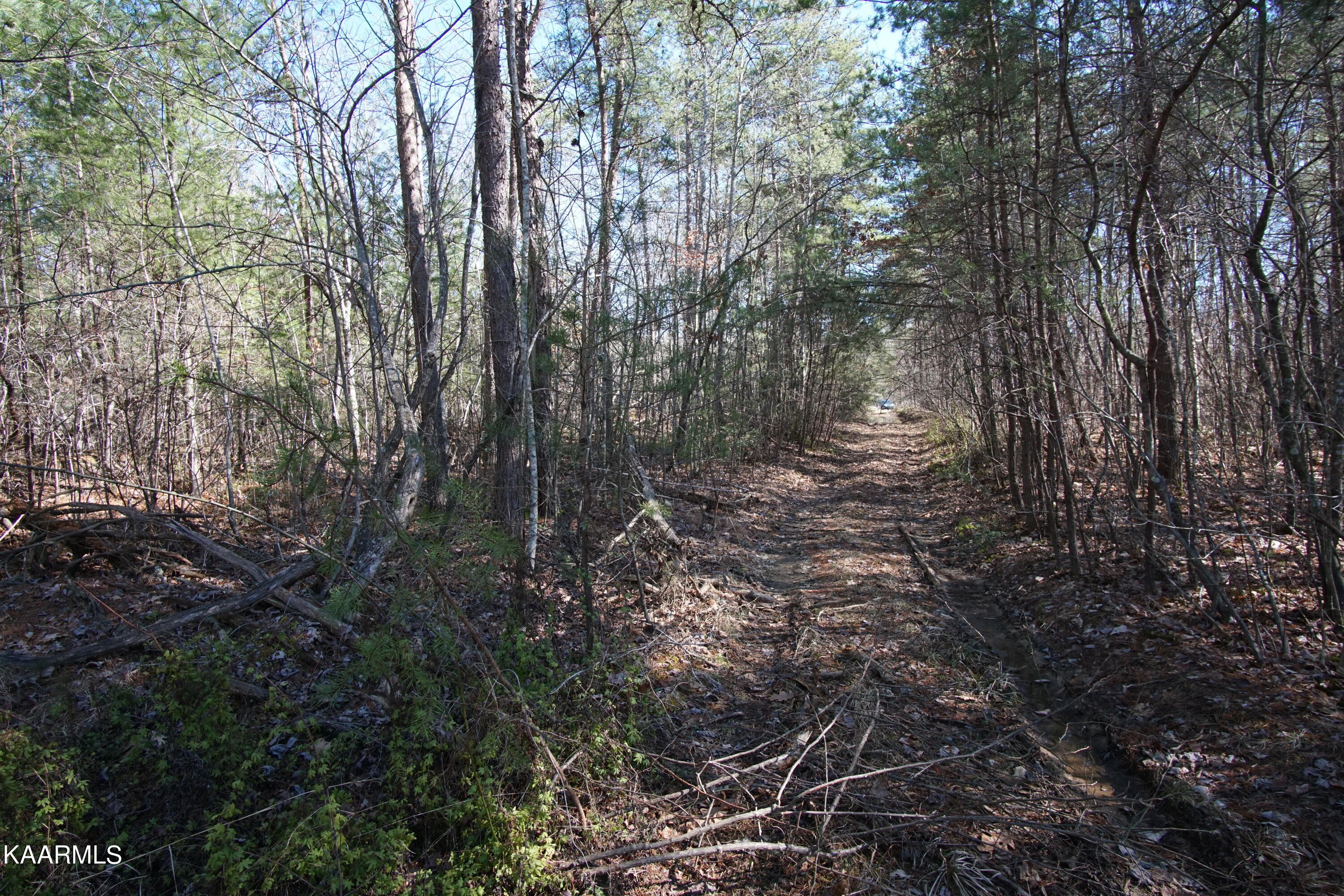 Glades Road Deer Lodge, TN 37726 - Photo 29 of 29 DSC06848