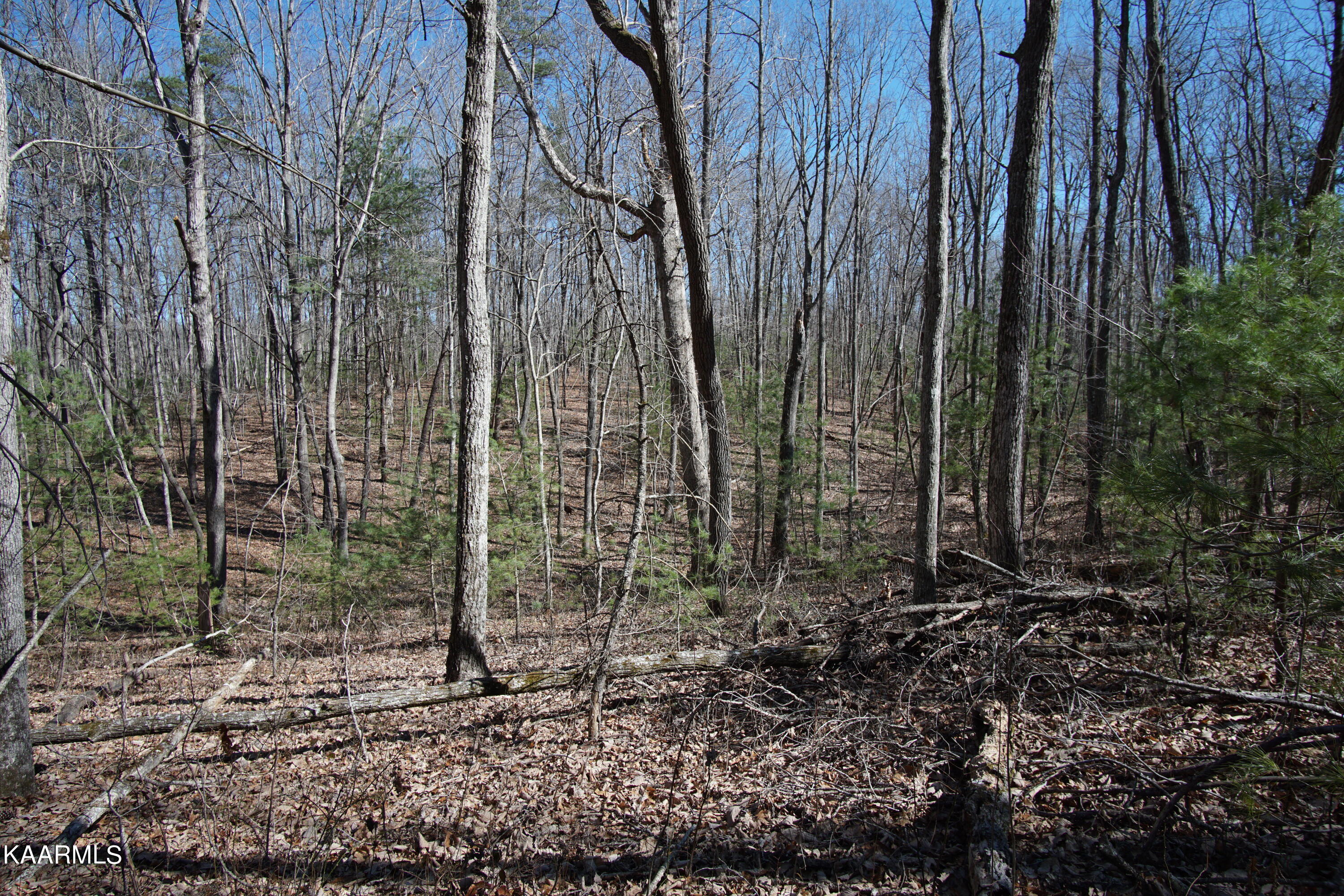 Glades Road Deer Lodge, TN 37726 - Photo 3 of 29 DSC06821