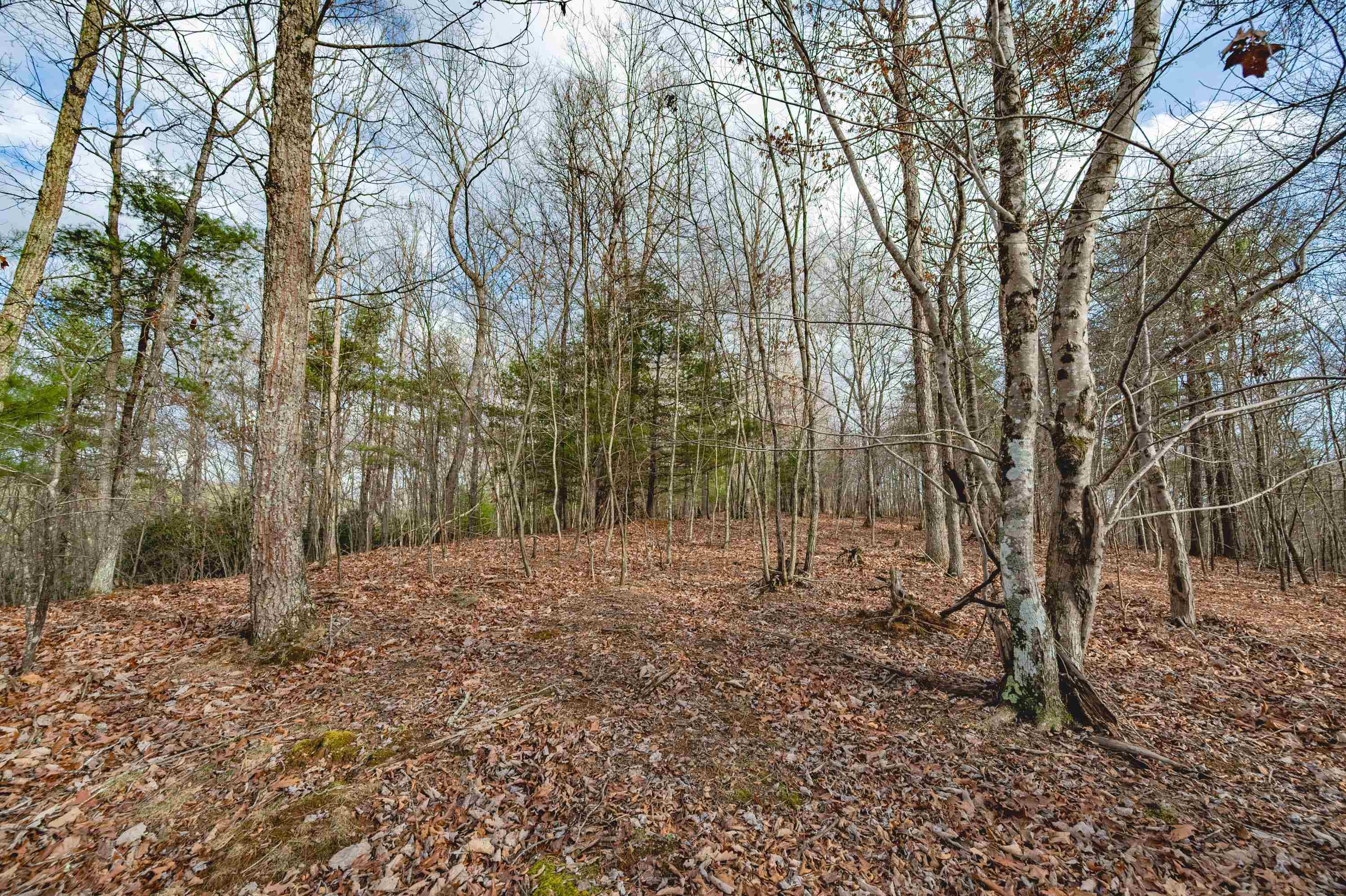 Tbd Spangler Mill Road Northeast Floyd, VA 24091 - Photo 17 of 44 Gallery Image 17