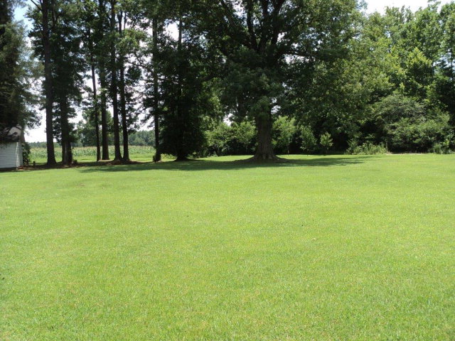 7529 Cherry Run Road Washington, NC 27889 - Photo 20 of 22 Additional Photo