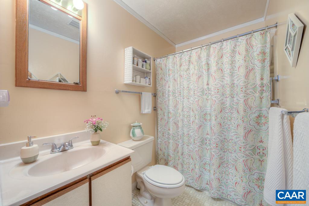 2475 Ridge Road Palmyra, VA 22963 - Photo 11 of 25 a bathroom with a sink vanity mirror and toilet