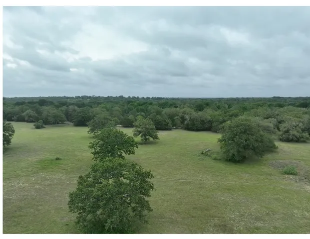 a view of a field of grass and trees