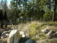 1208 South Center Road Spokane, WA 99212 - Photo 4 of 4