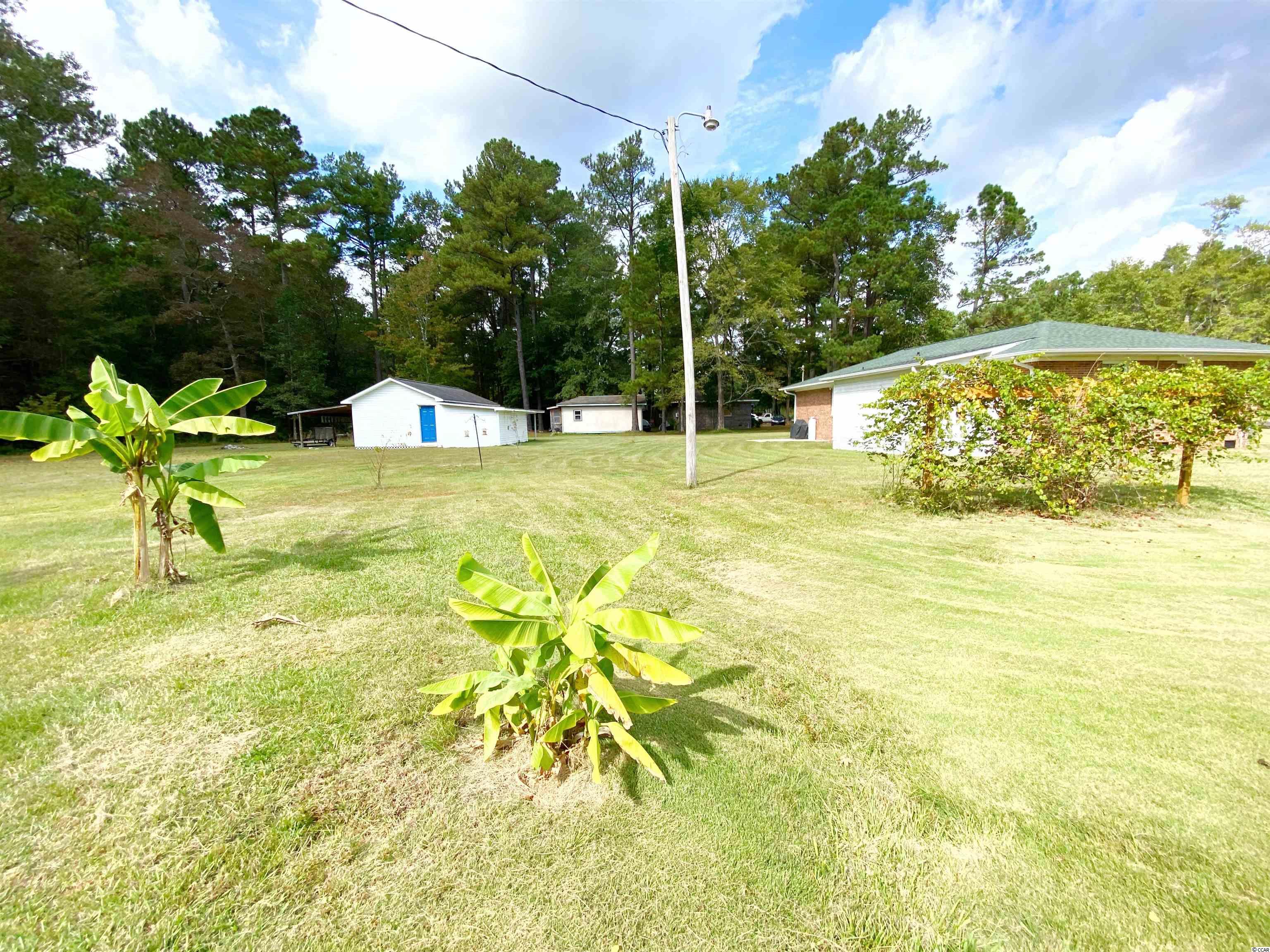 797 Old Buck Creek Road Longs, SC 29568 - Photo 25 of 32 Gallery Image 25