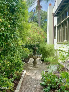 a view of a garden with plants and large trees