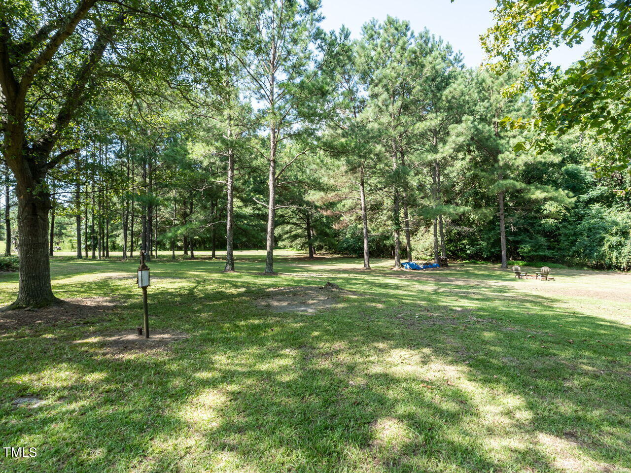 3938 Old Fairground Road Angier, NC 27501 - Photo 26 of 43 Backyard